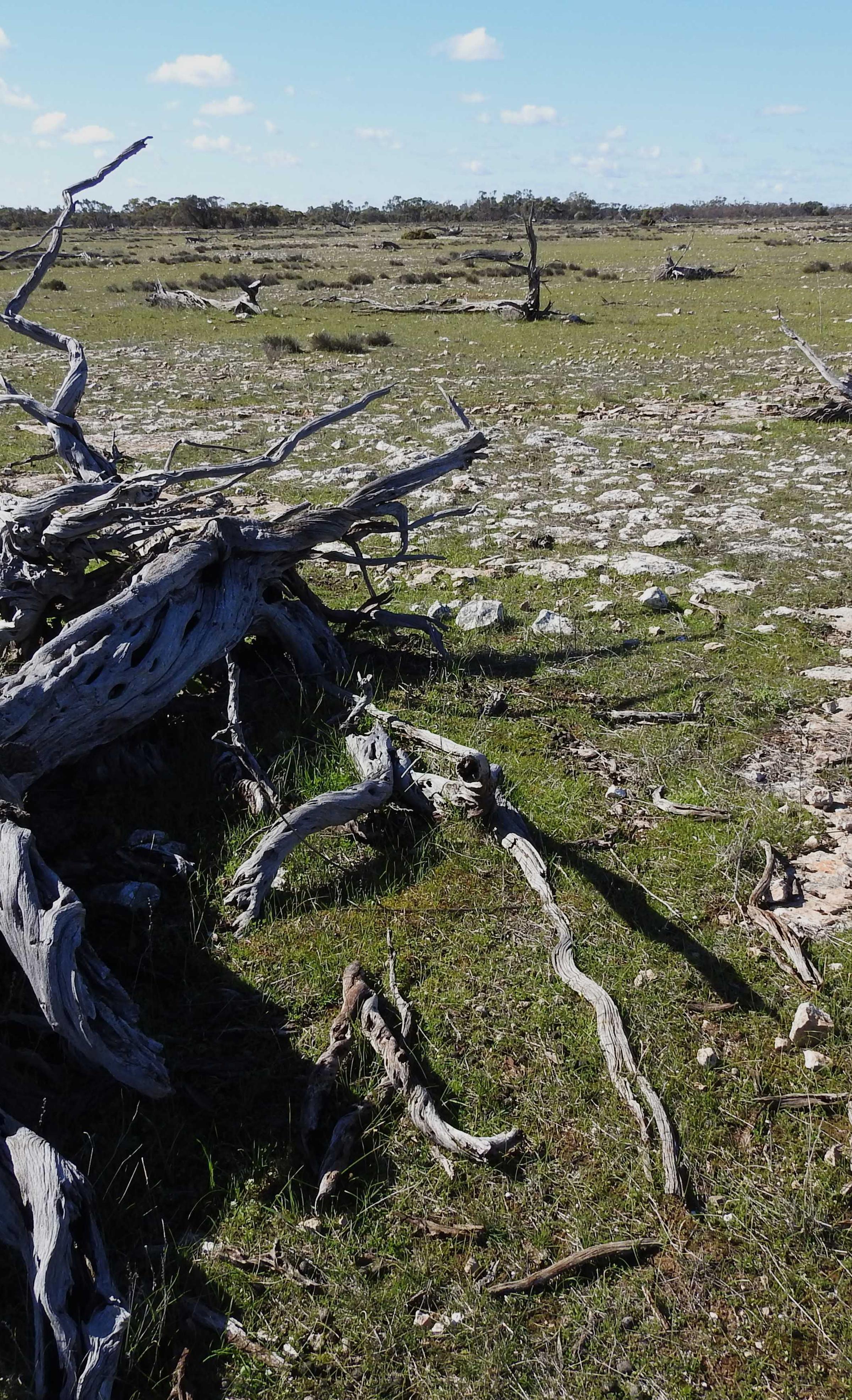 Degraded land in Victoria at scale