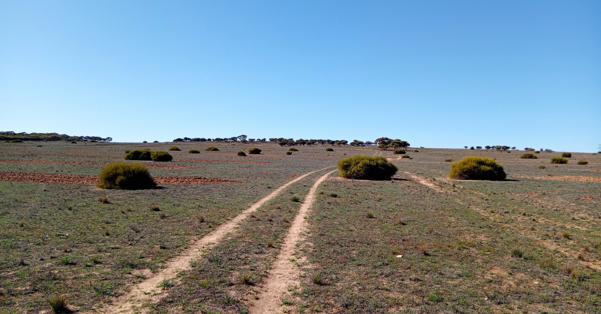 Degraded land in Burton South Australia