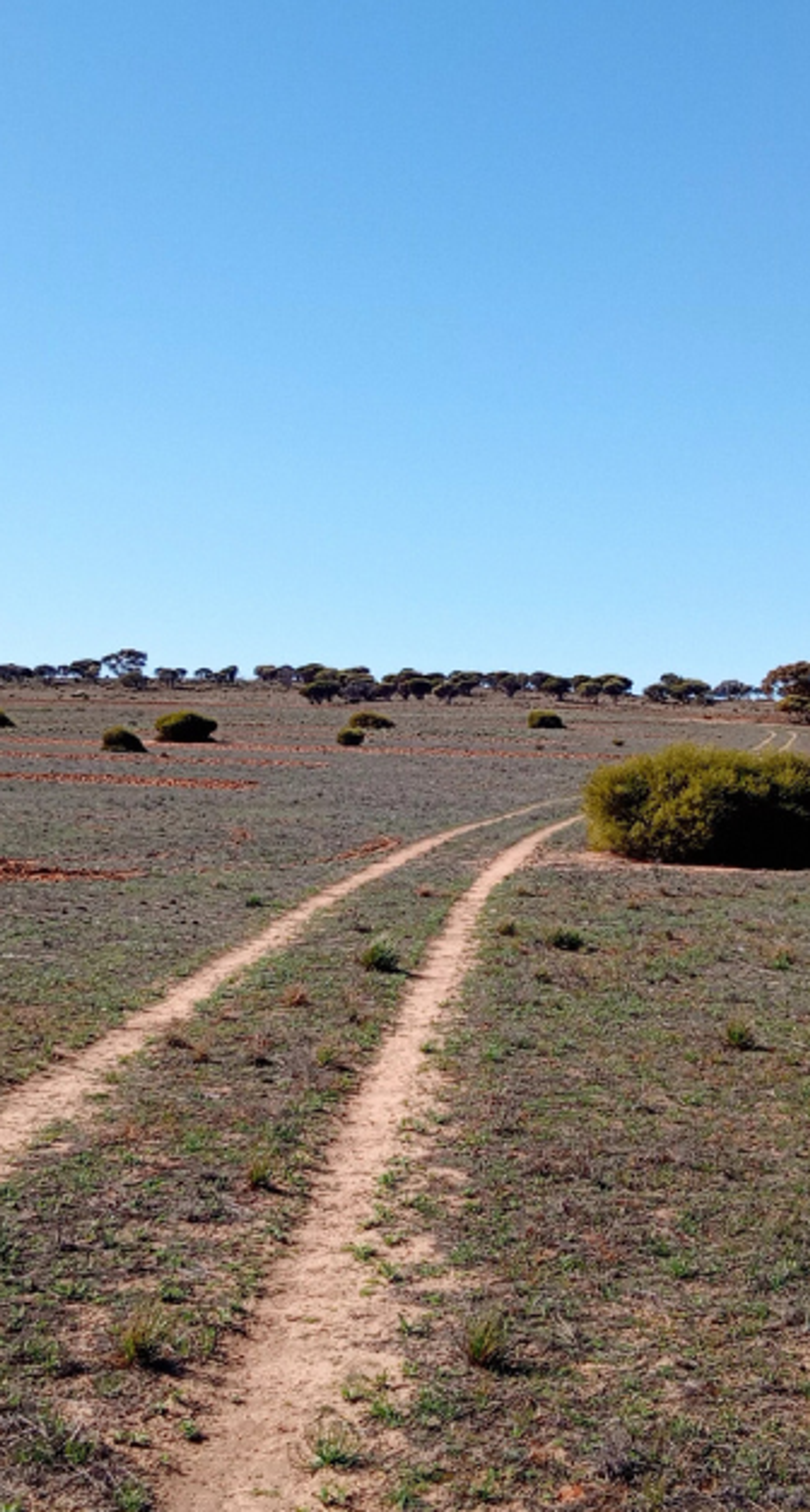 Degraded land in Burton South Australia