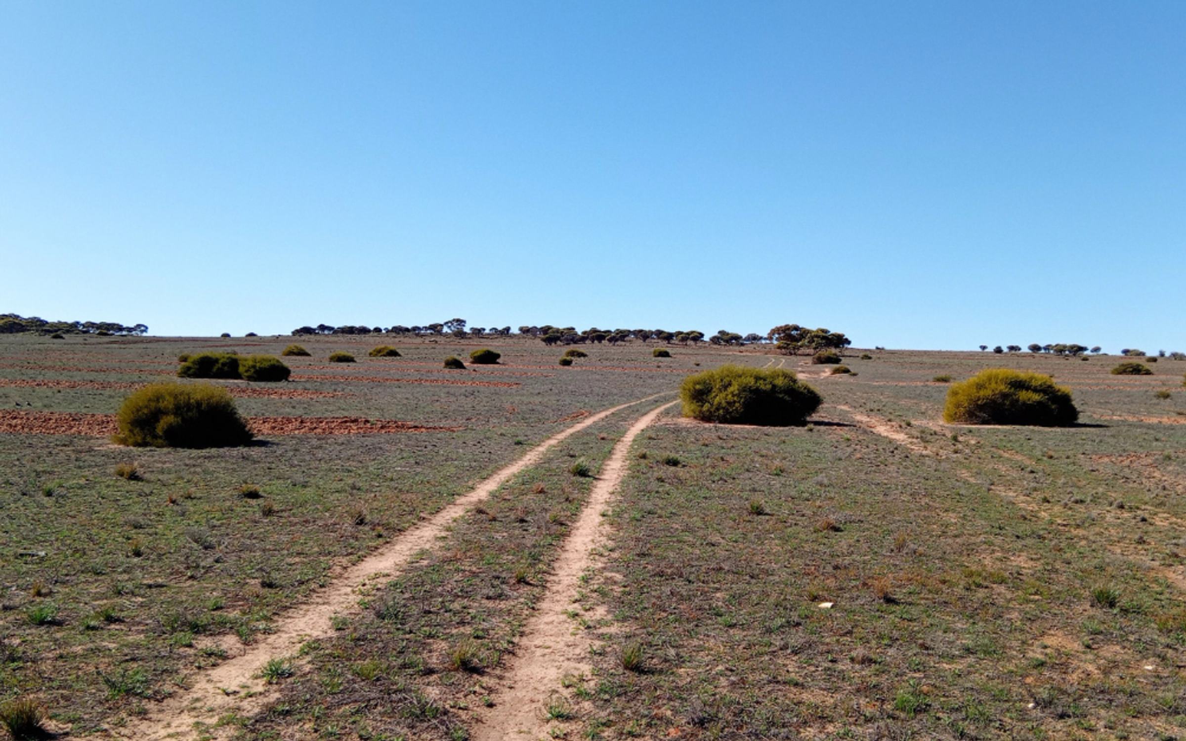 Degraded land in Burton South Australia