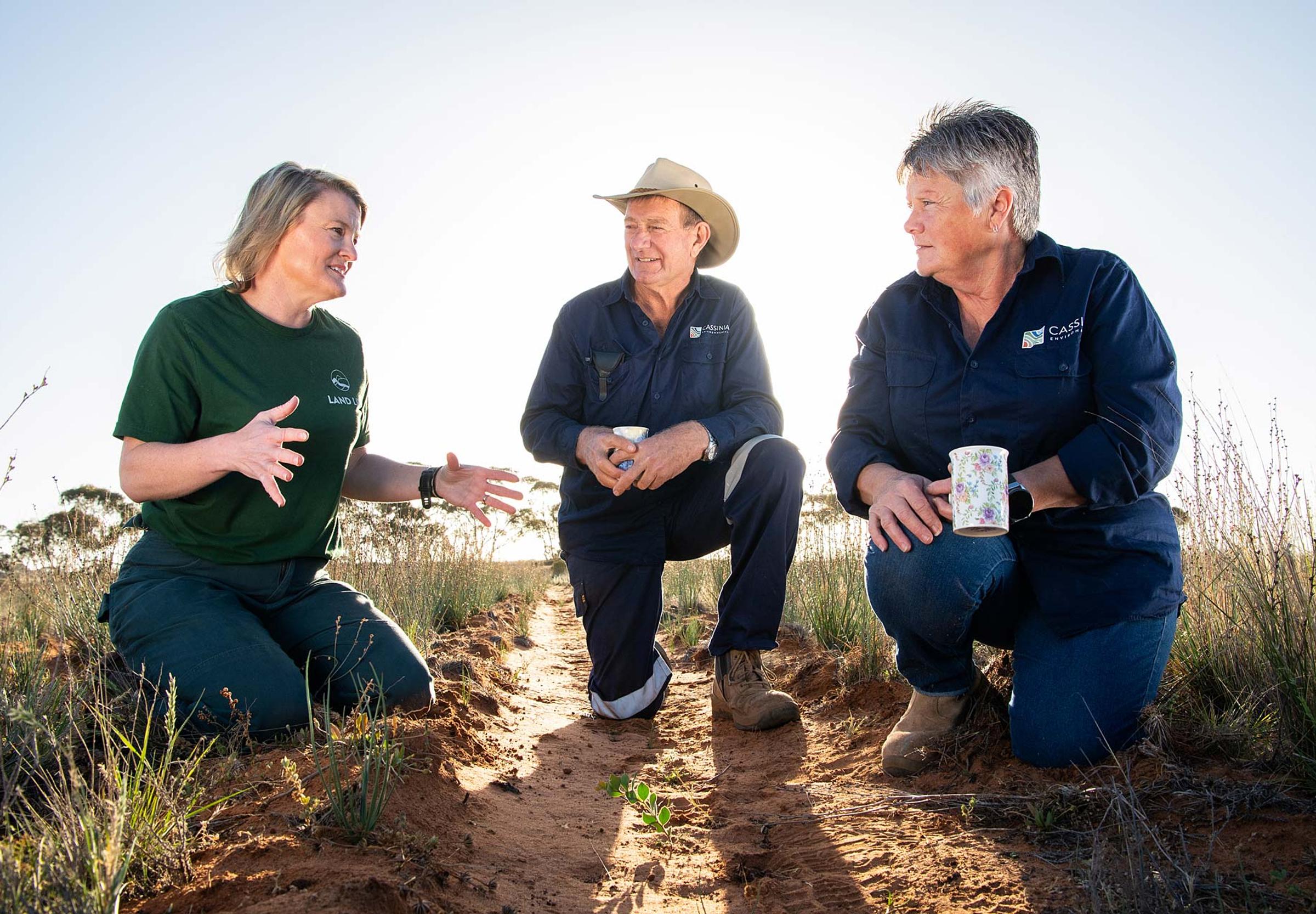 Three farm managers gathered around new growth seedling