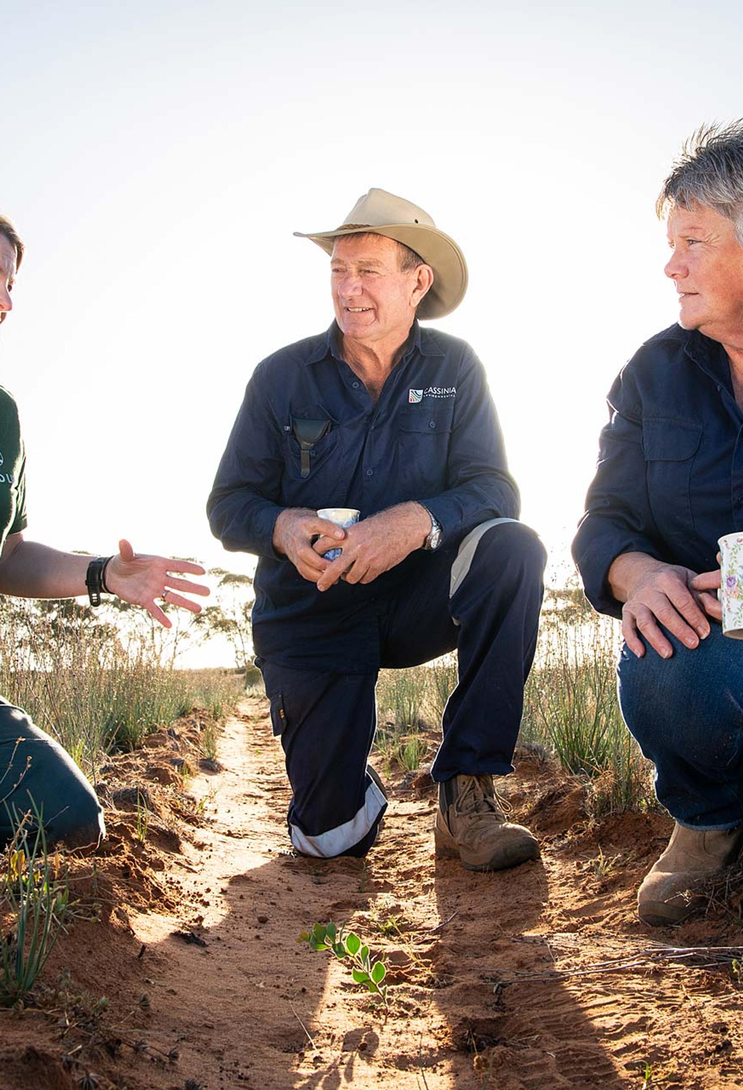 Three farm managers gathered around new growth seedling