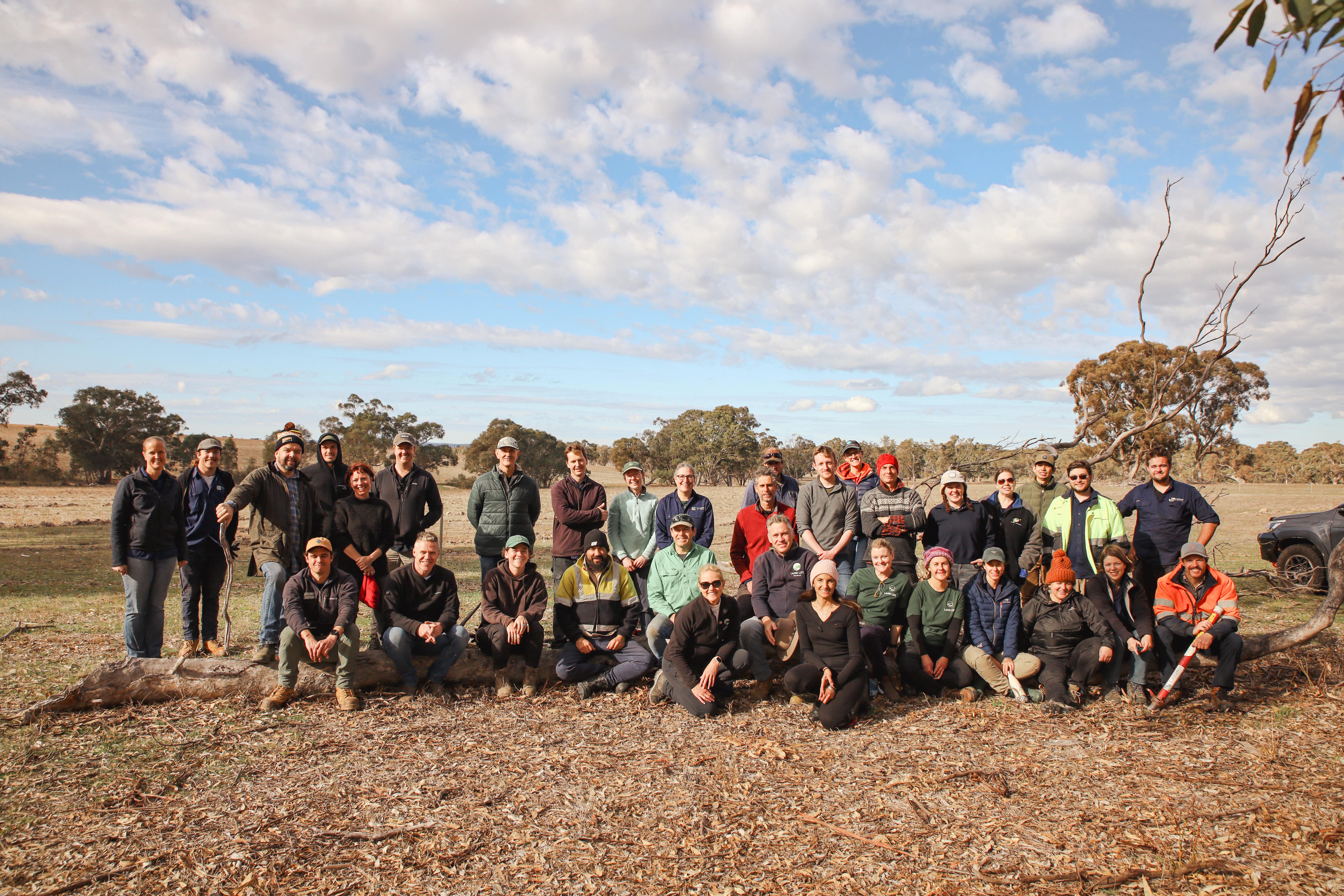 Land Life and Cassinia Environmental planting day in Victoria Australia