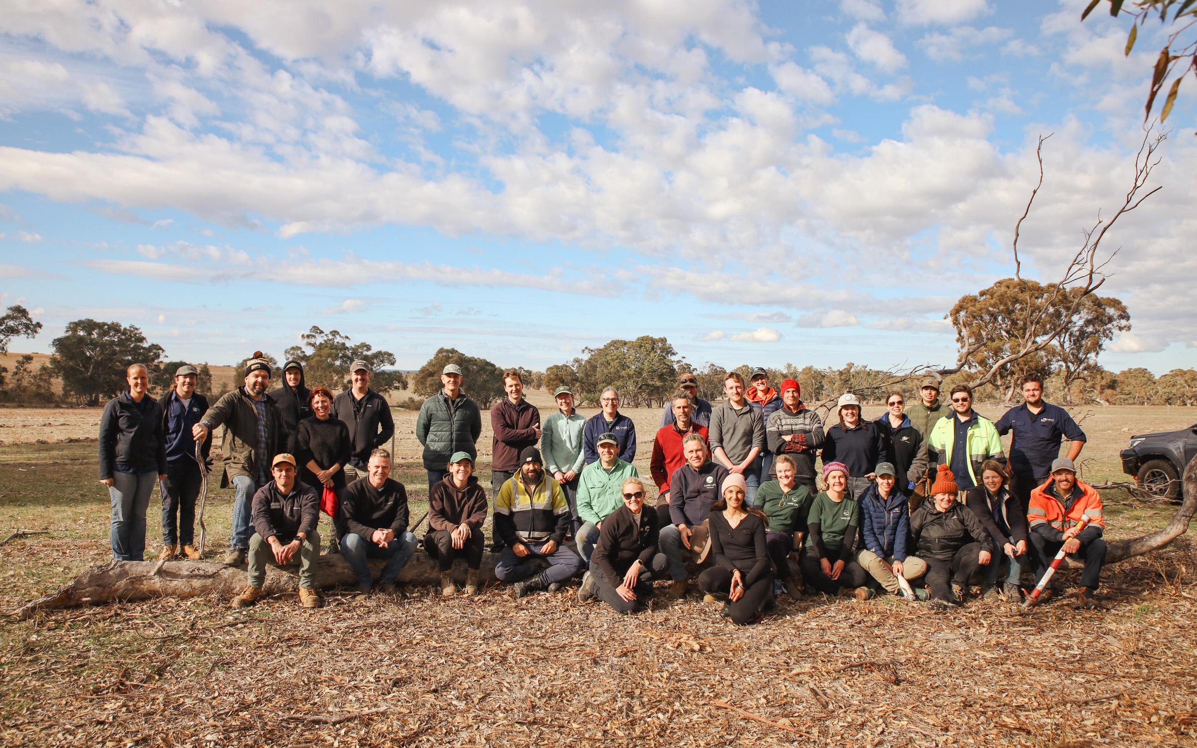 Land Life and Cassinia Environmental planting day in Victoria Australia