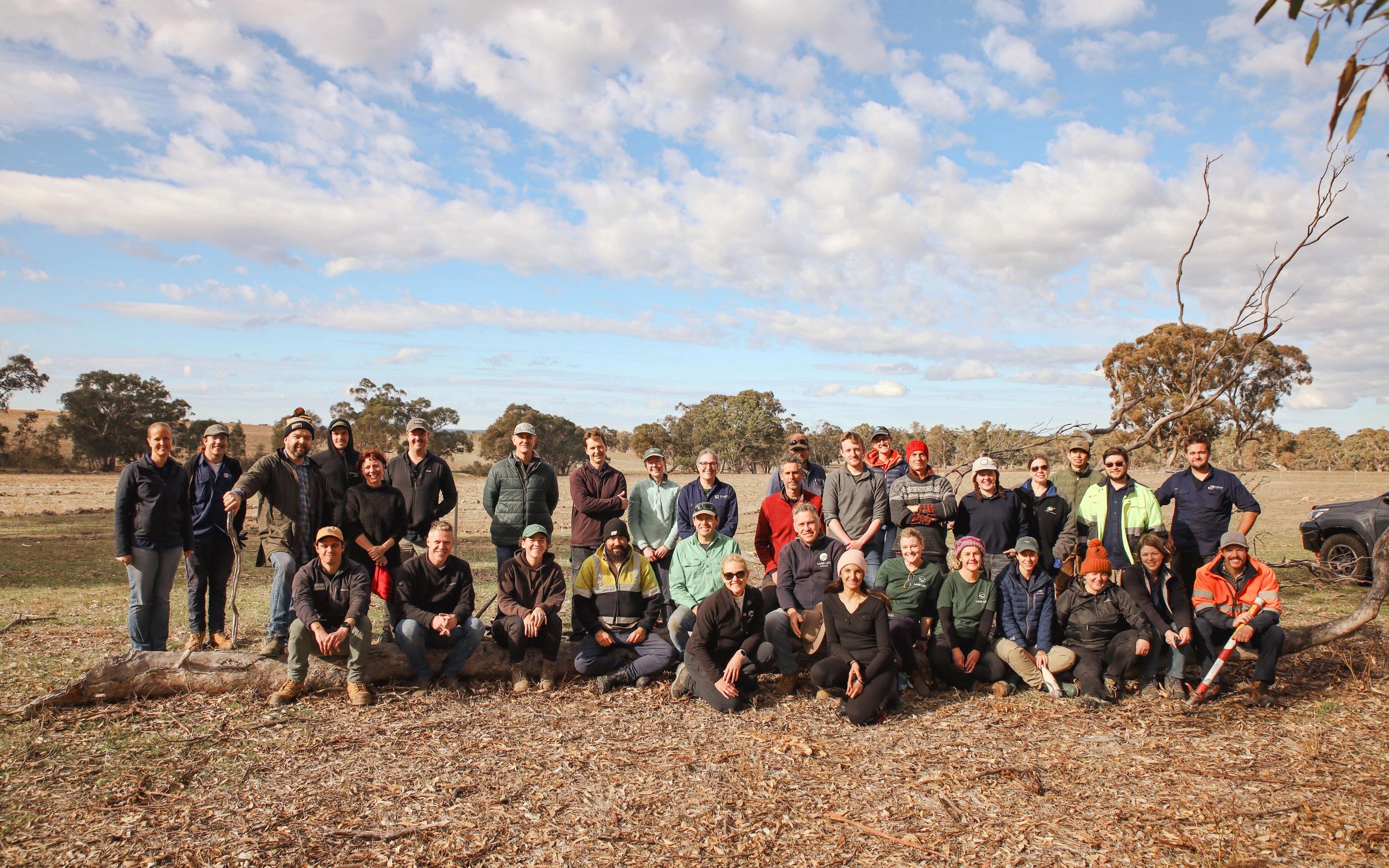 Land Life and Cassinia Environmental planting day in Victoria Australia