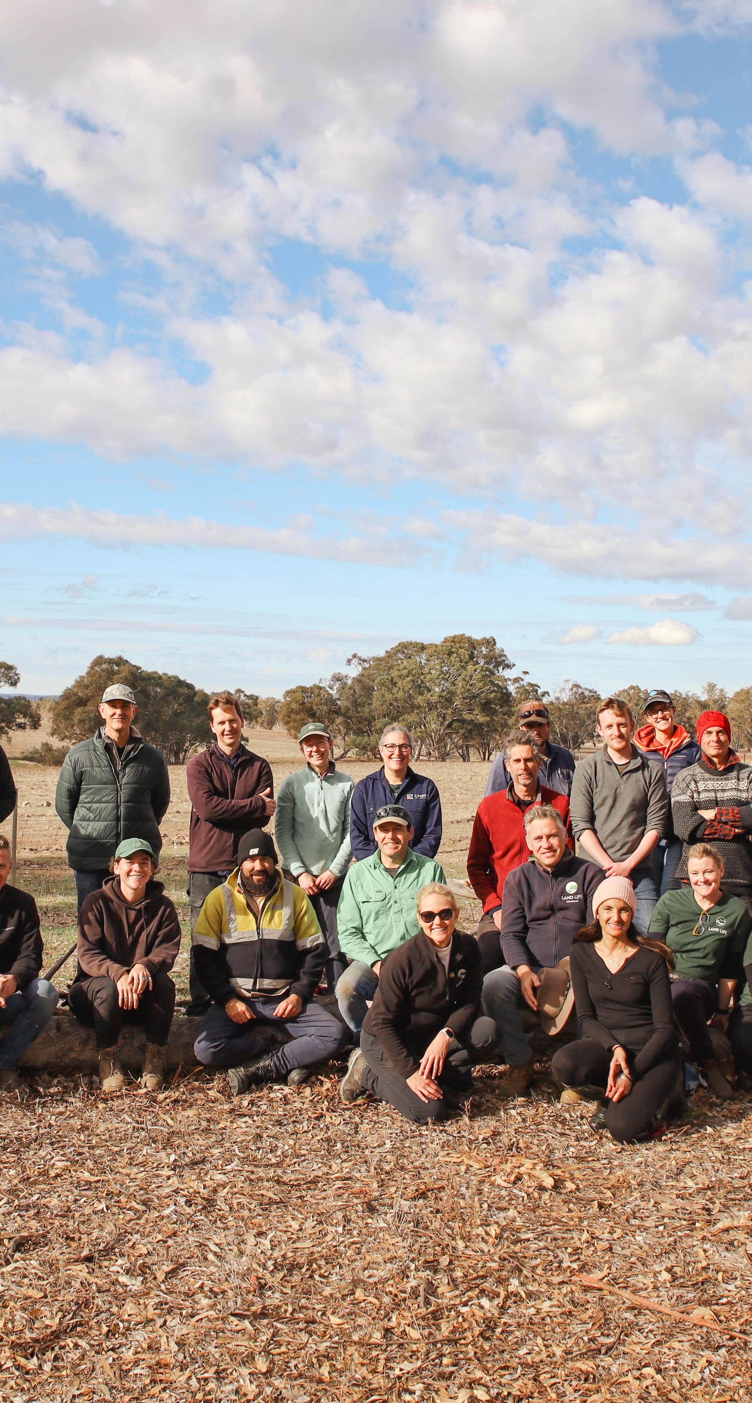 Land Life and Cassinia Environmental planting day in Victoria Australia
