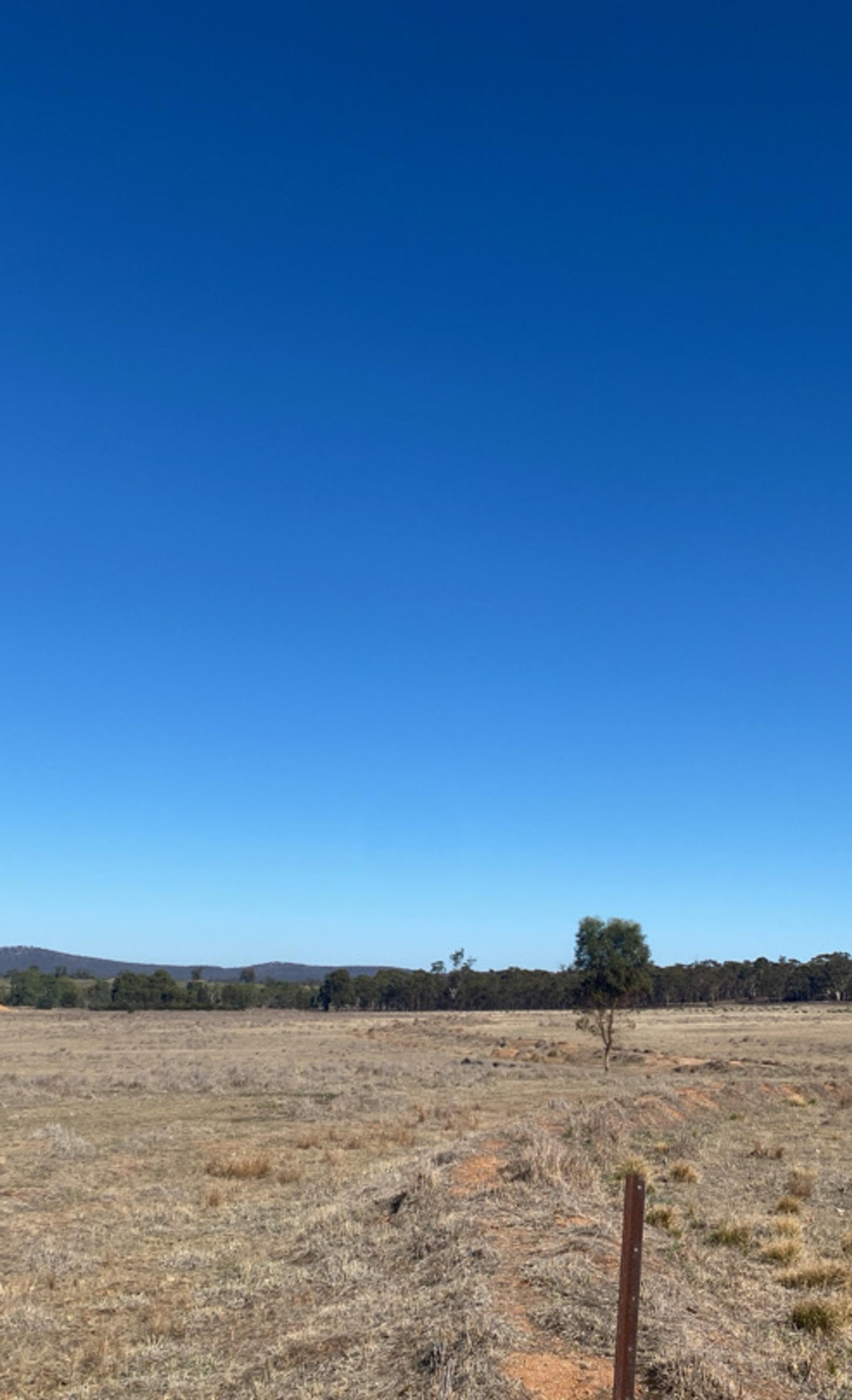 Degraded landscape