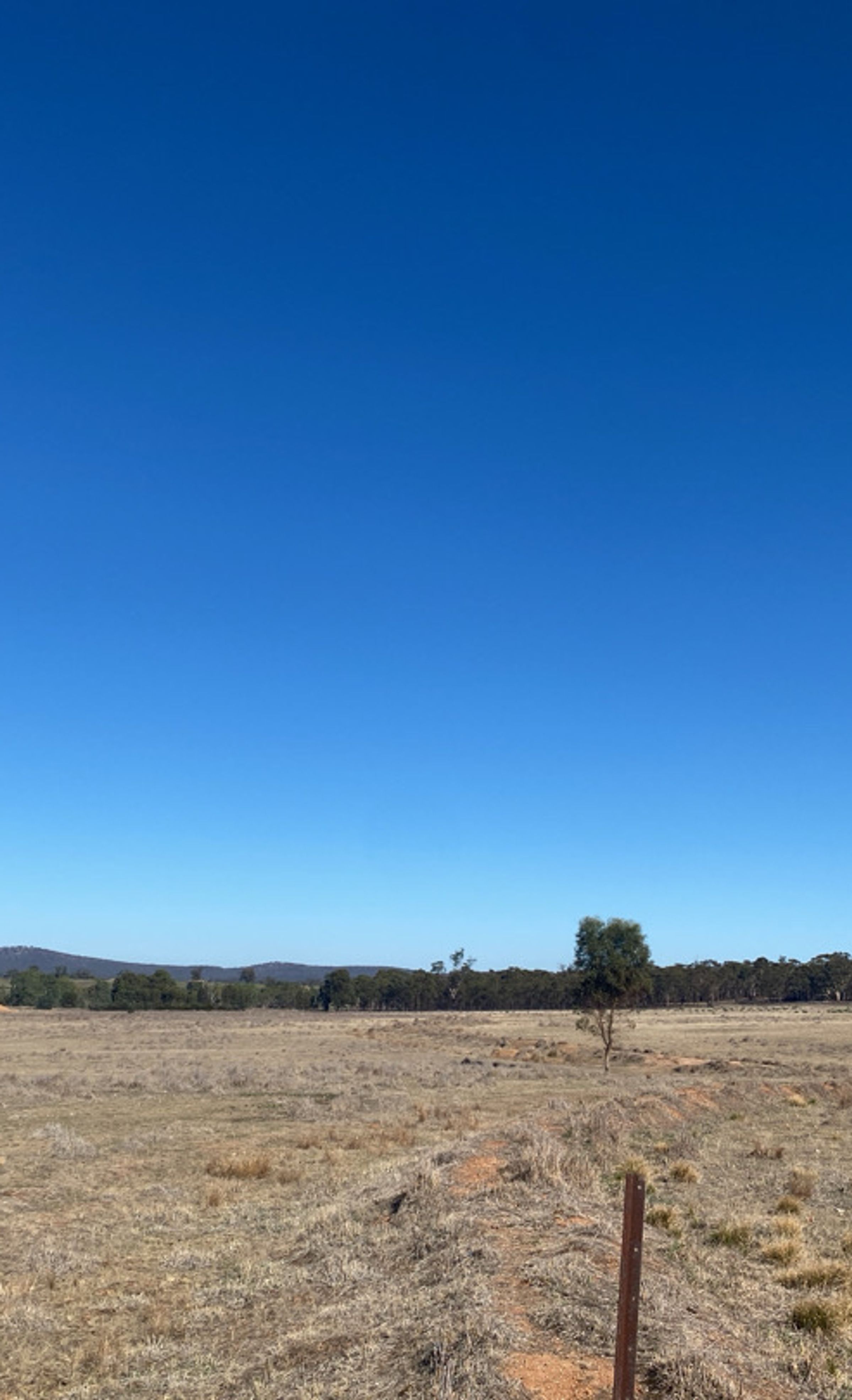 Degraded landscape