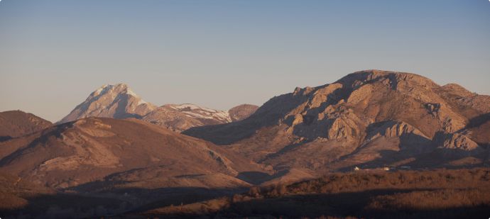 Reforestation Projects in the US & Canada