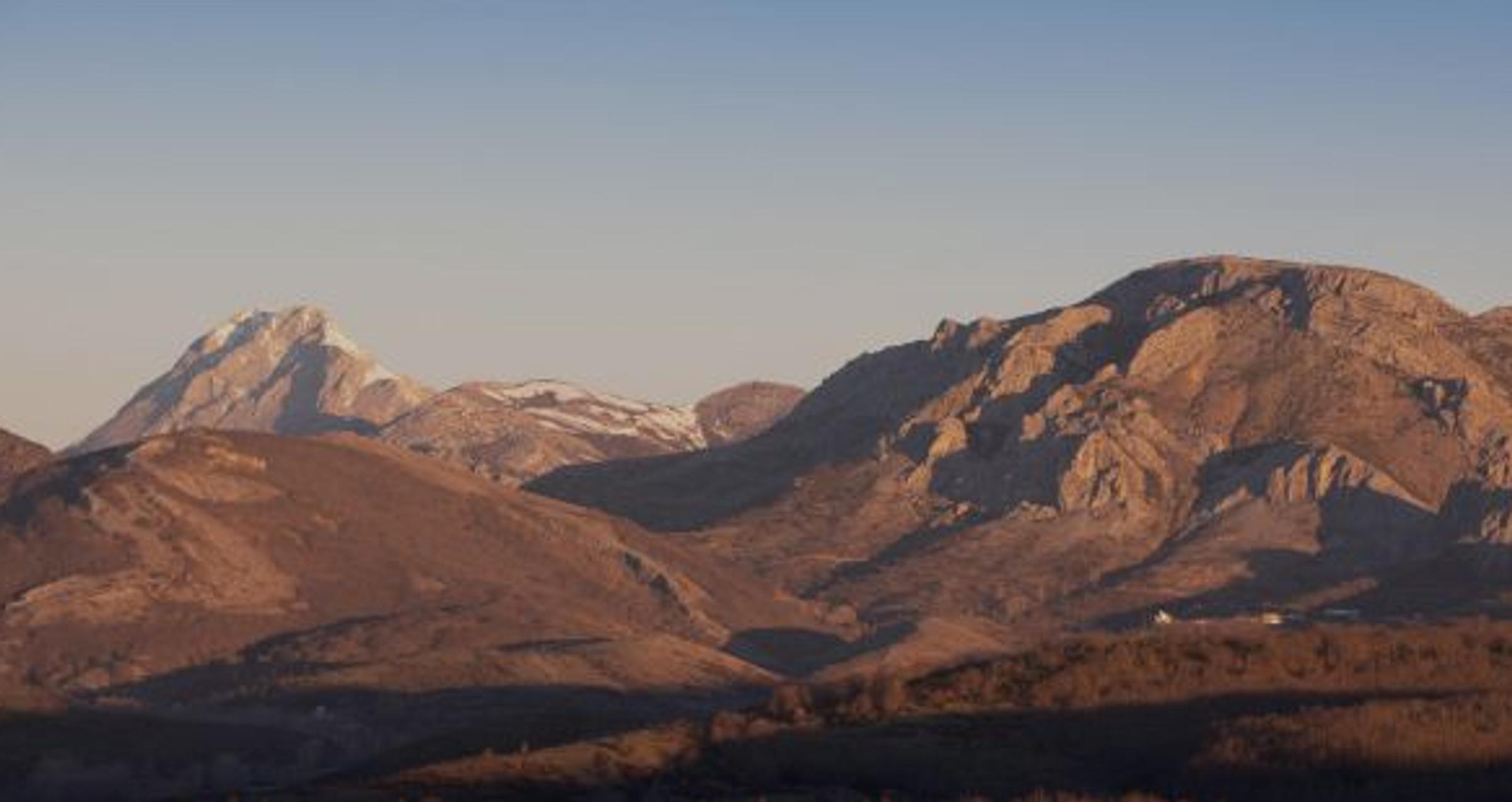 Reforestation Projects in the US & Canada