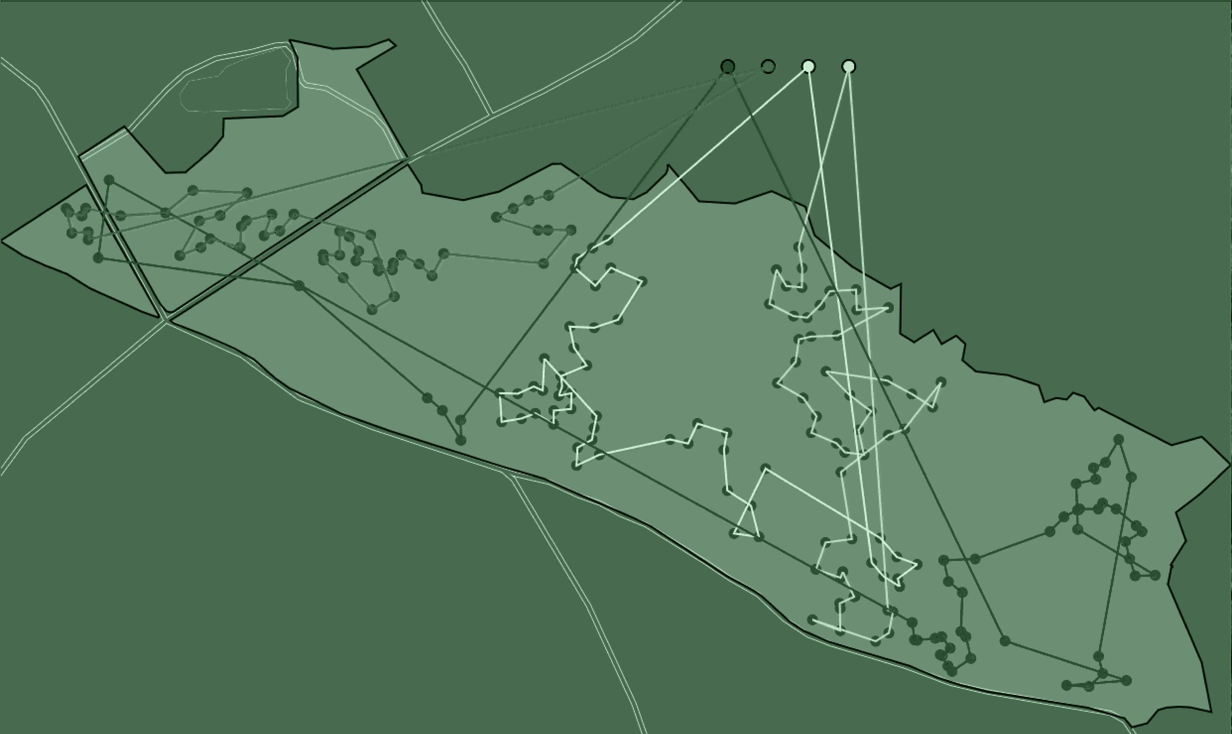 Tree Seeding Robot Pattern