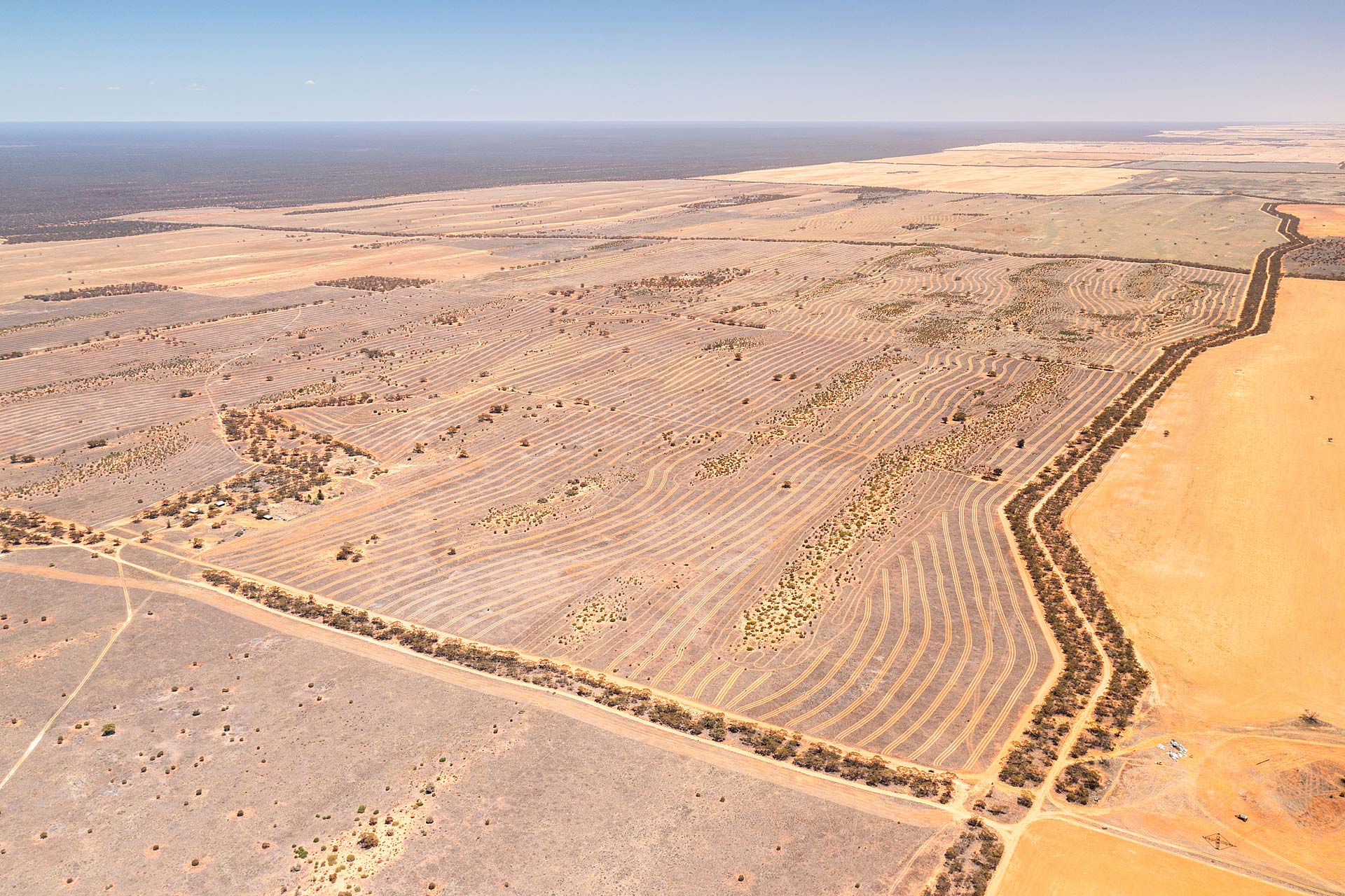 Degraded Land in Australia: Understanding the Impact and Solutions