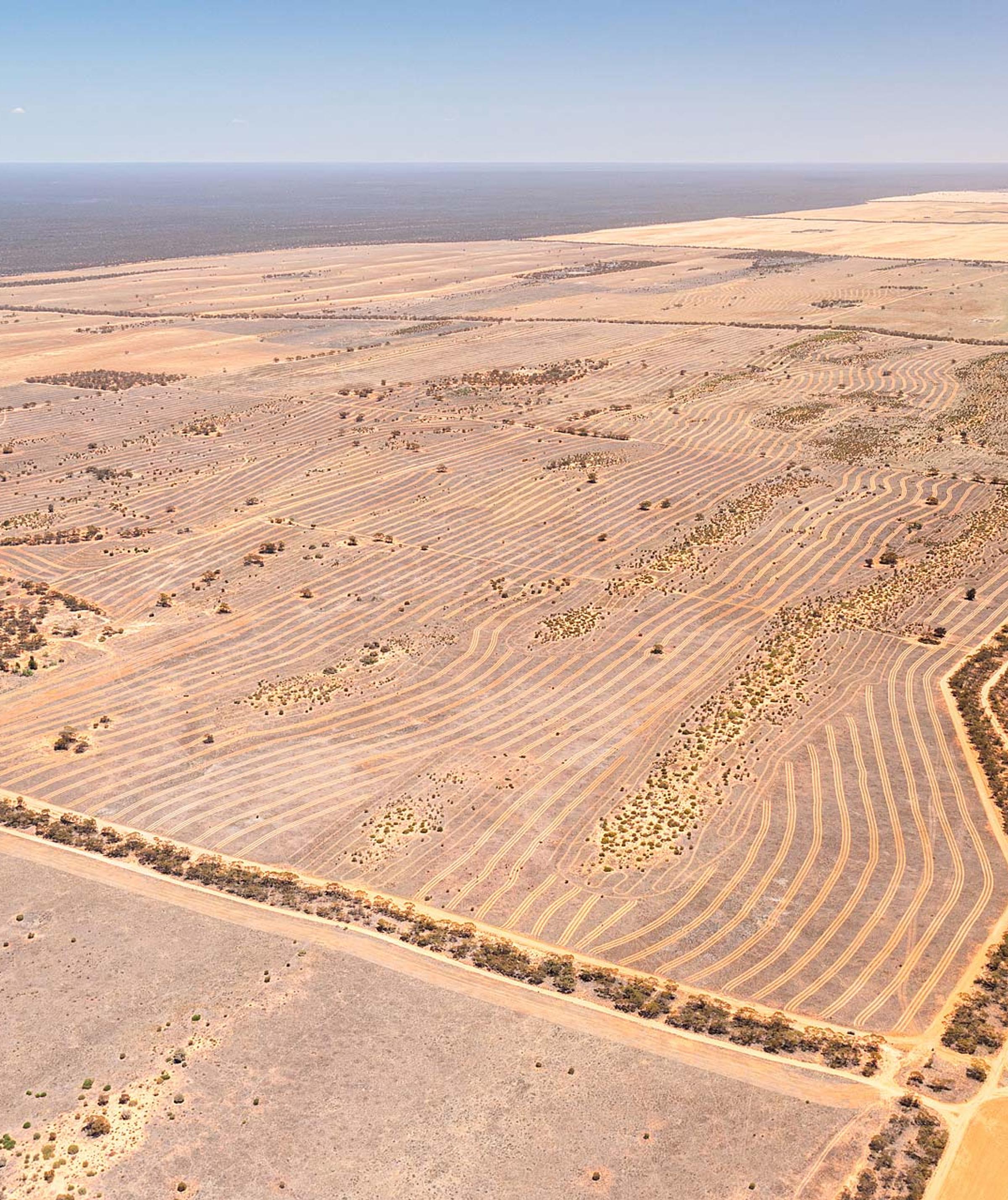 Degraded Land in Australia: Understanding the Impact and Solutions
