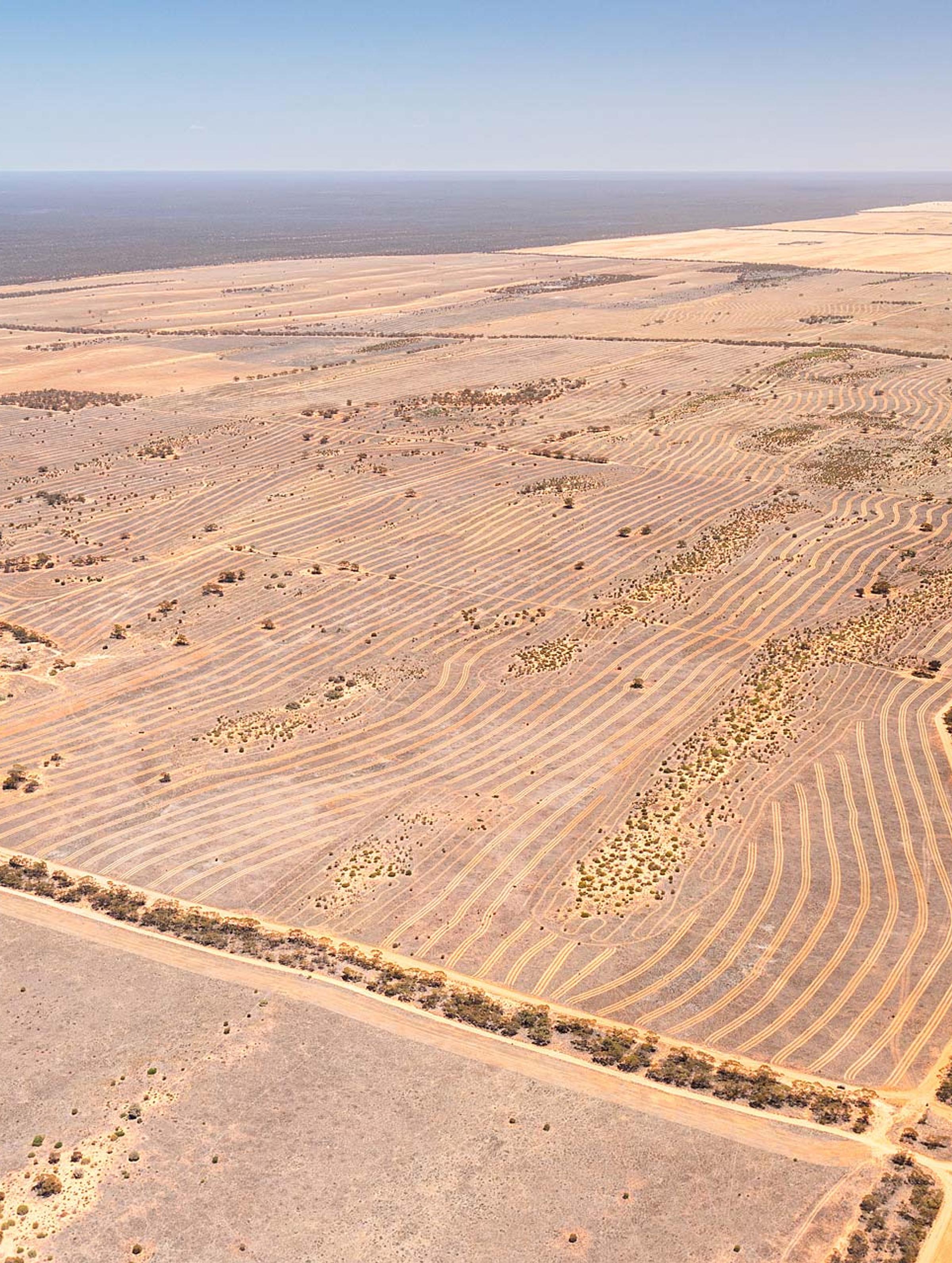 Degraded Land in Australia: Understanding the Impact and Solutions
