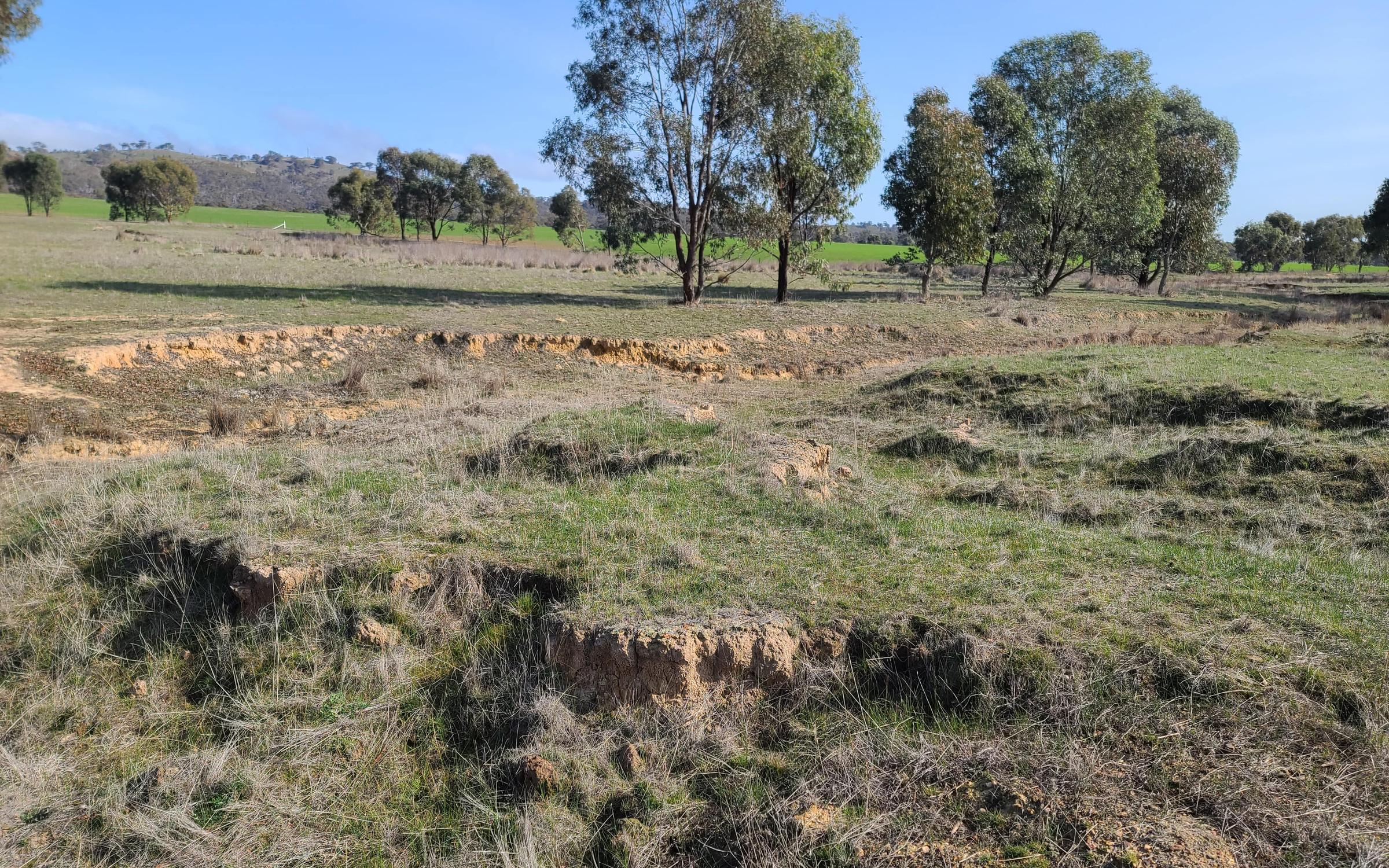 Degraded land in Victoria