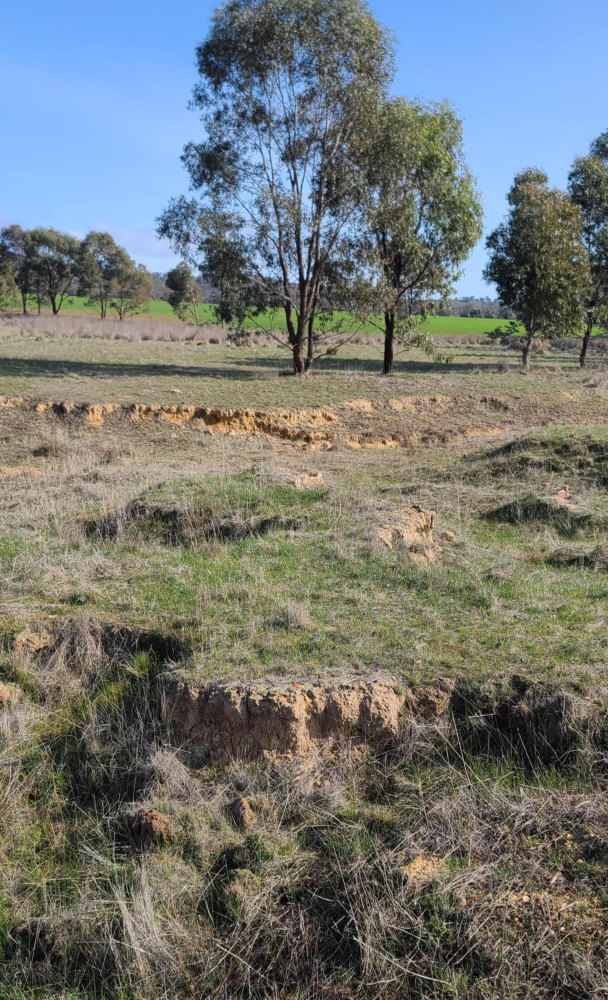 Degraded land in Victoria