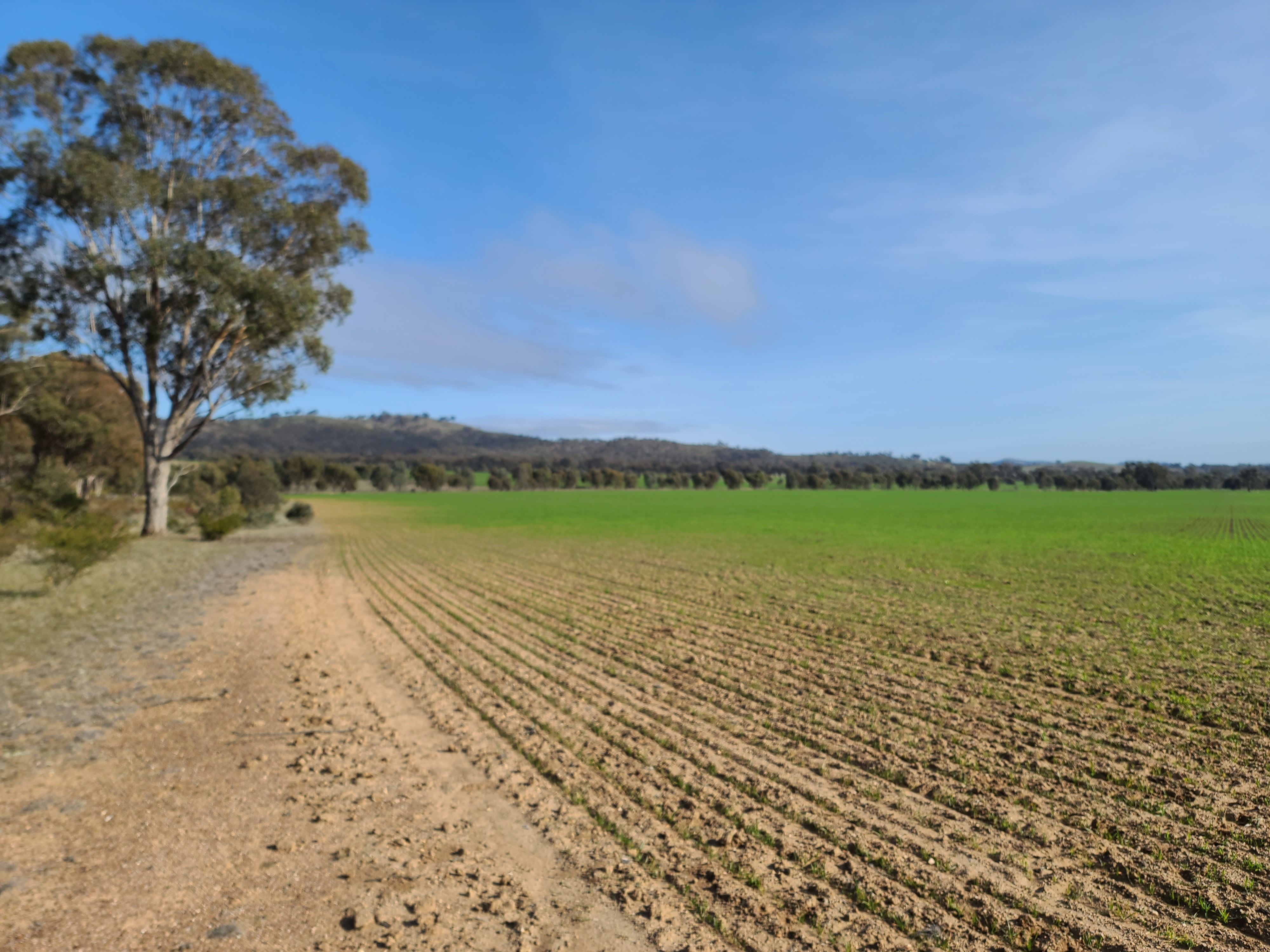 Degraded land in Victoria