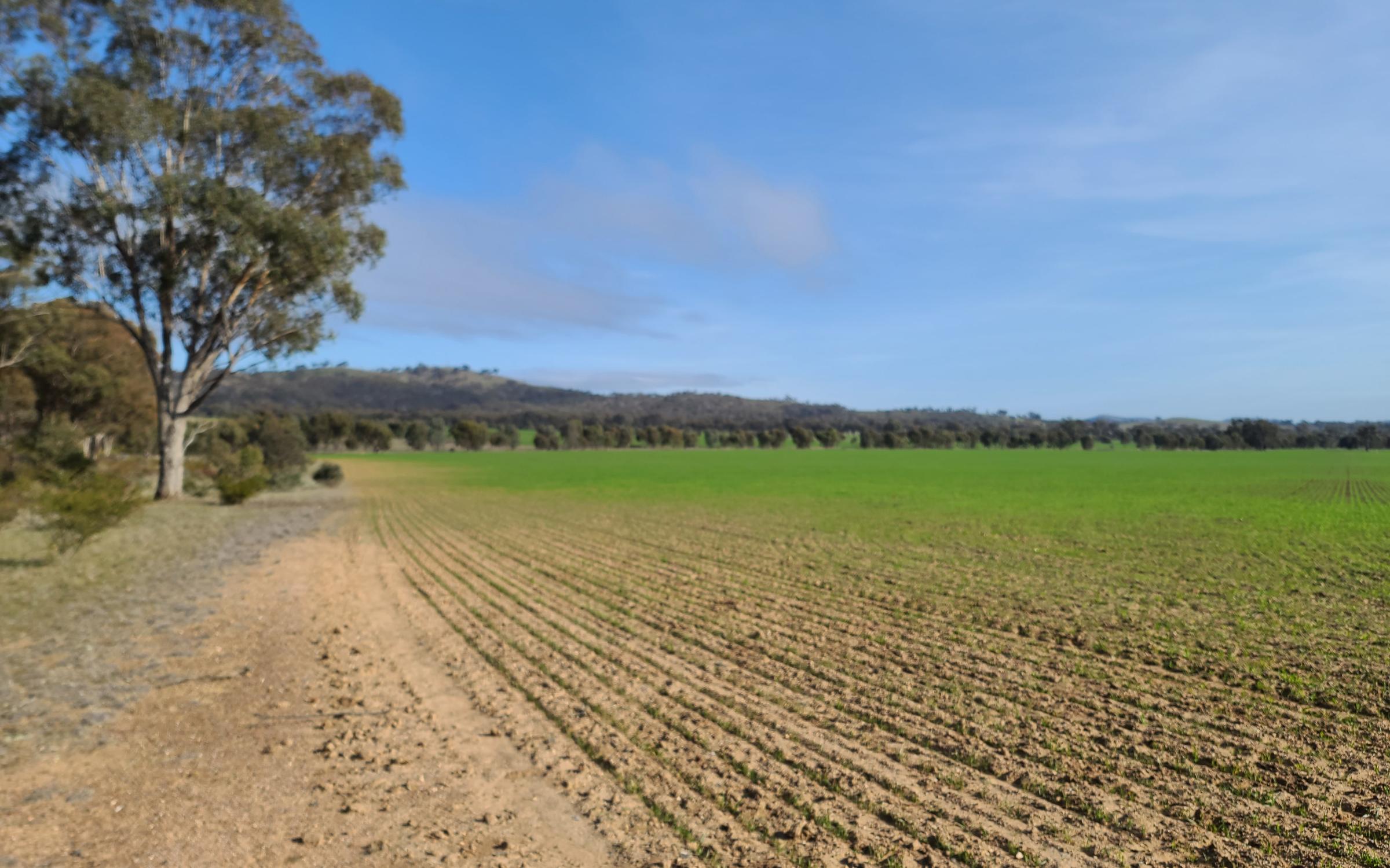 Degraded land in Victoria