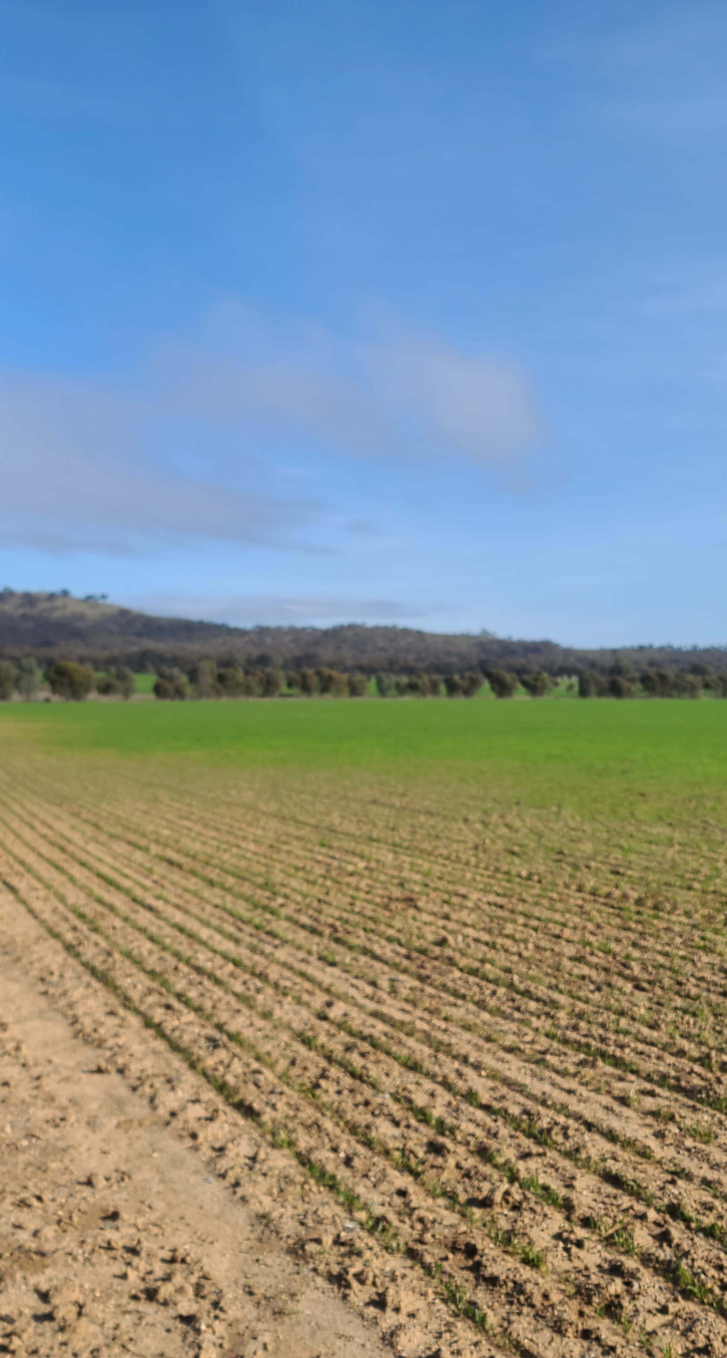 Degraded land in Victoria