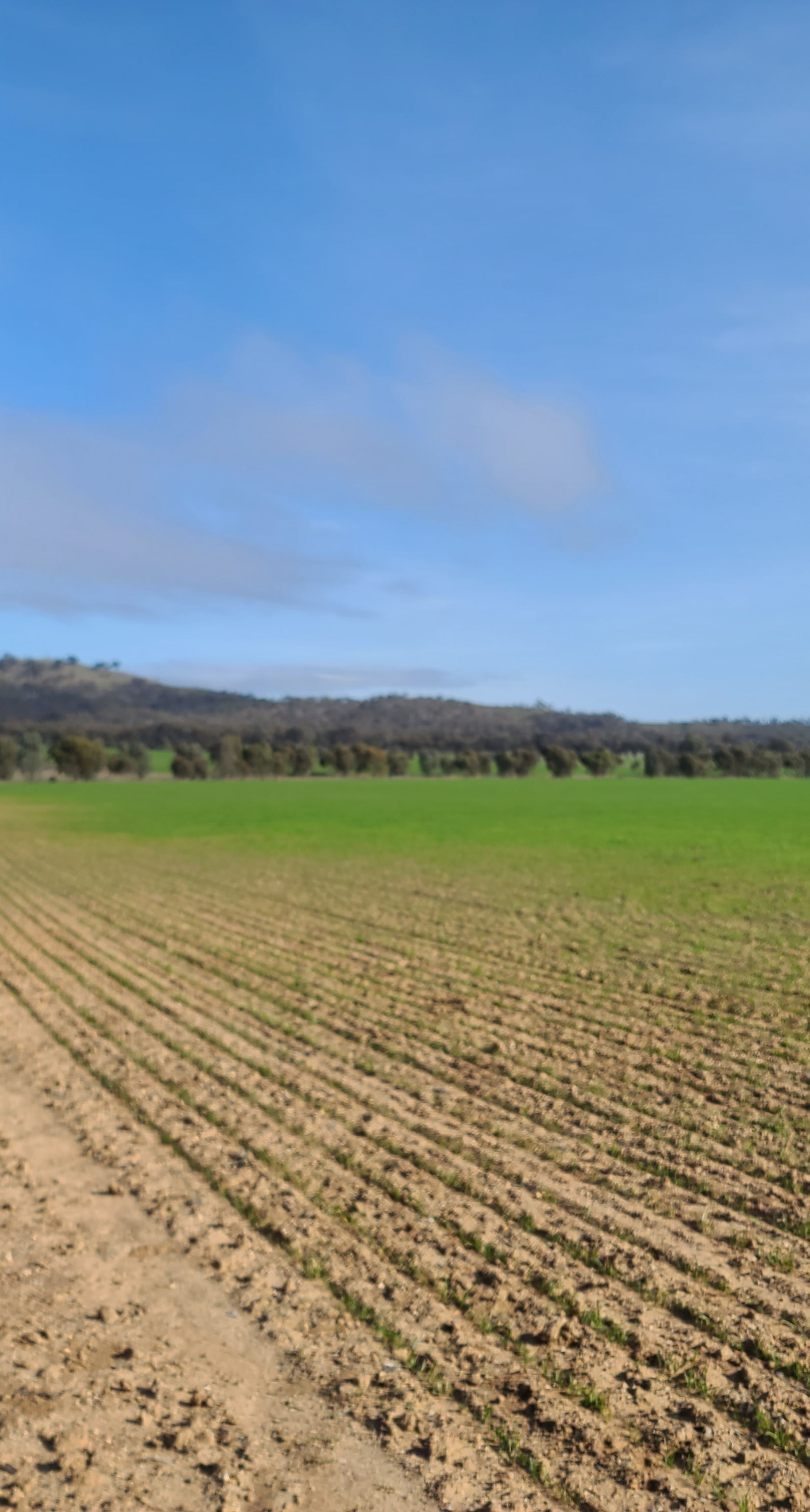 Degraded land in Victoria