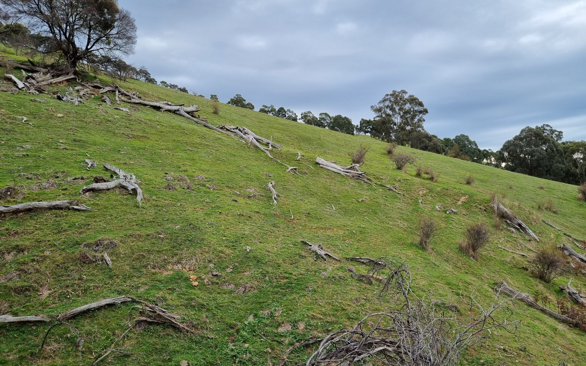 Degraded landscape