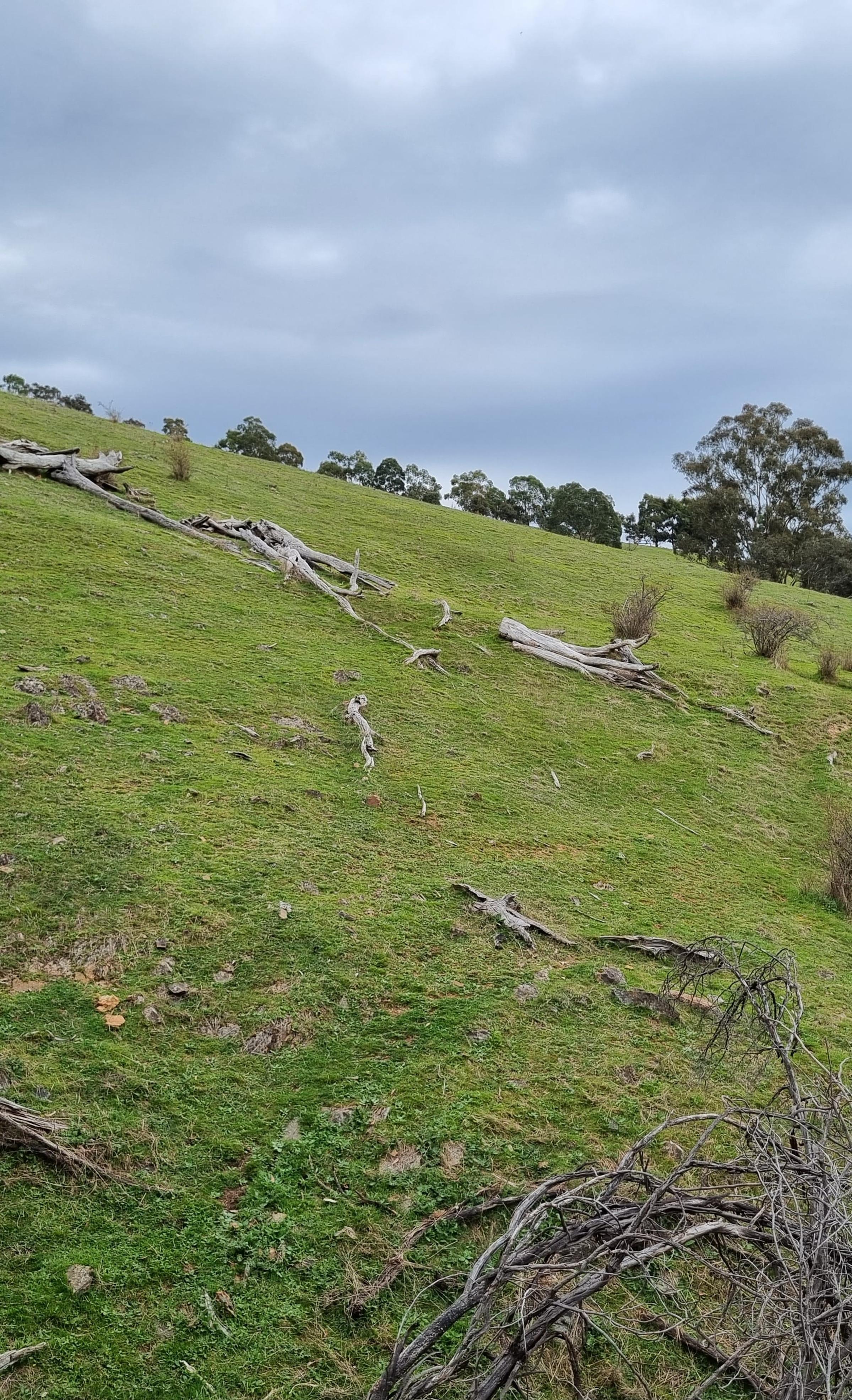 Degraded landscape