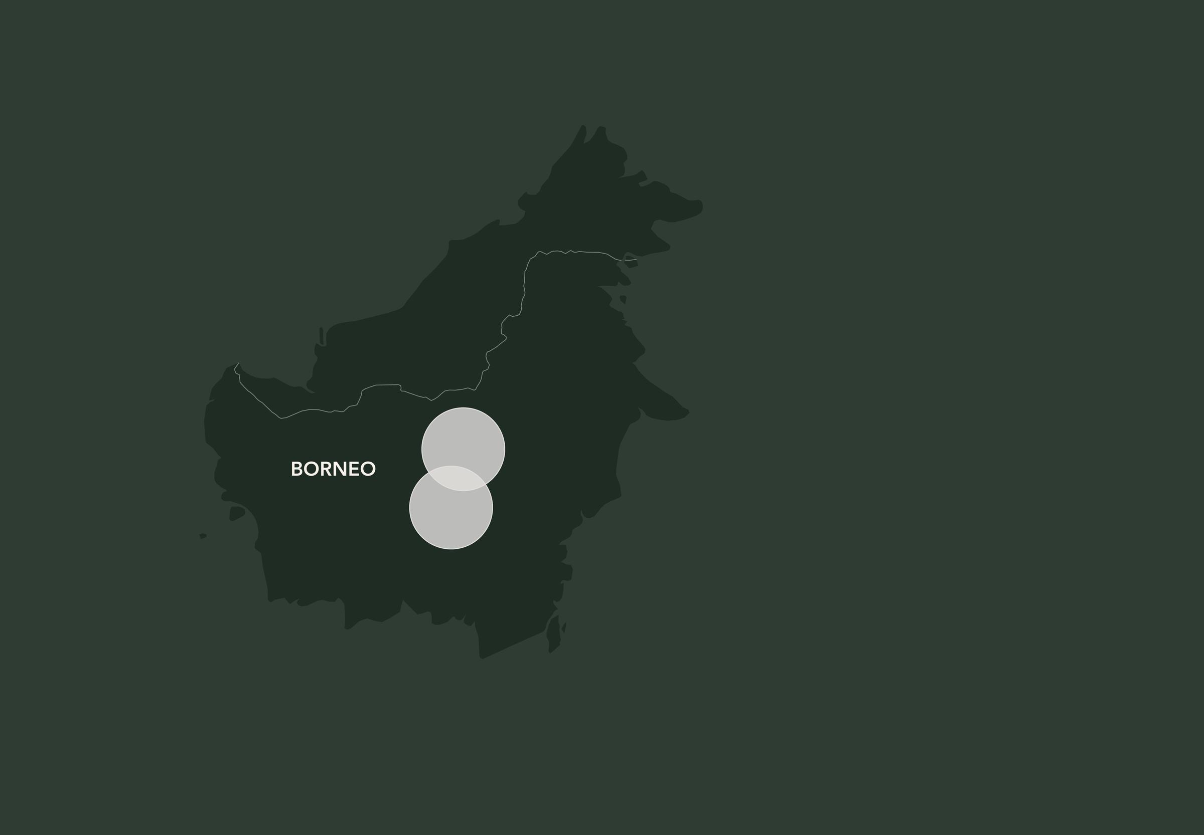 Borneo Map