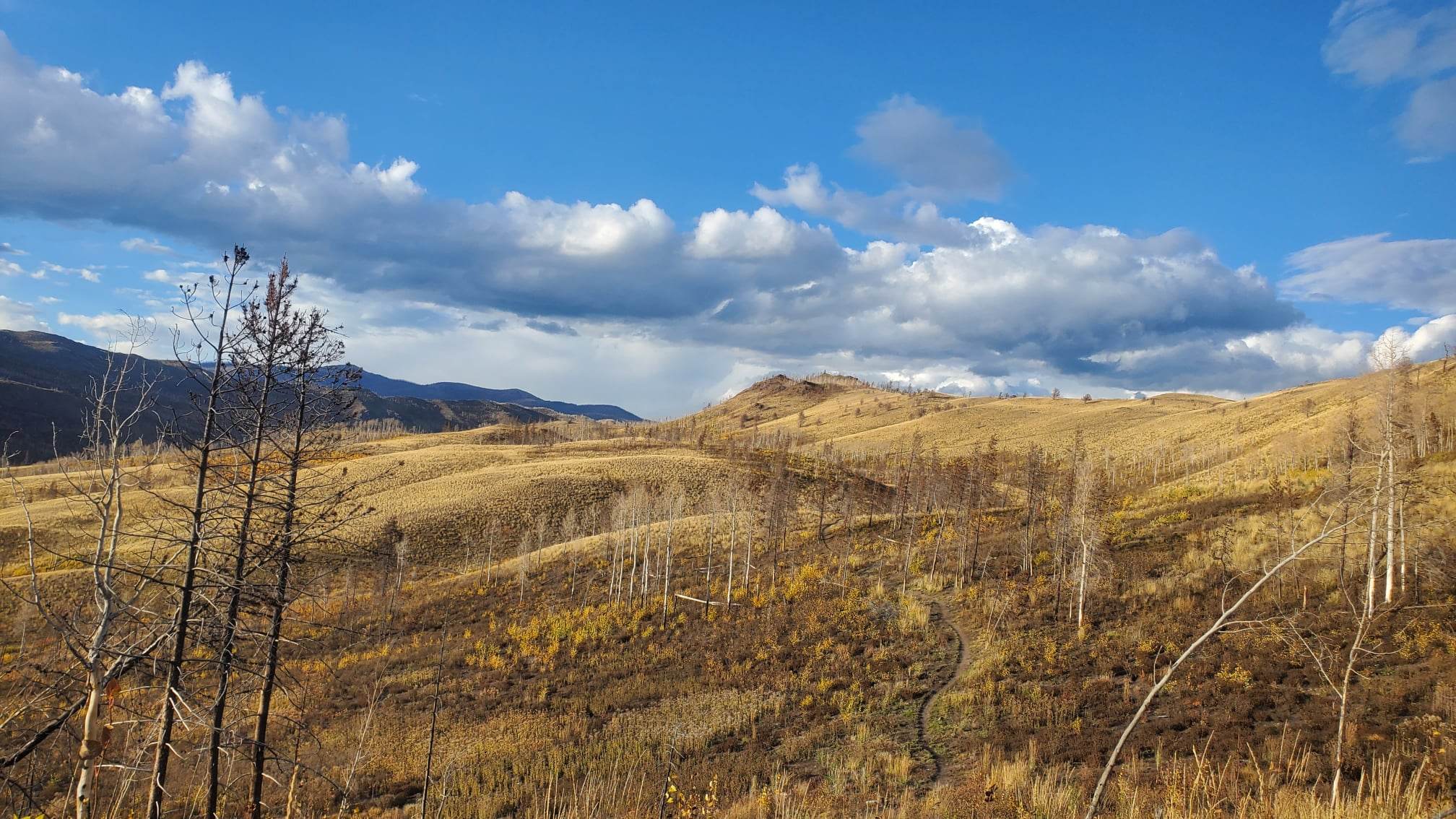 Colorado 2022
