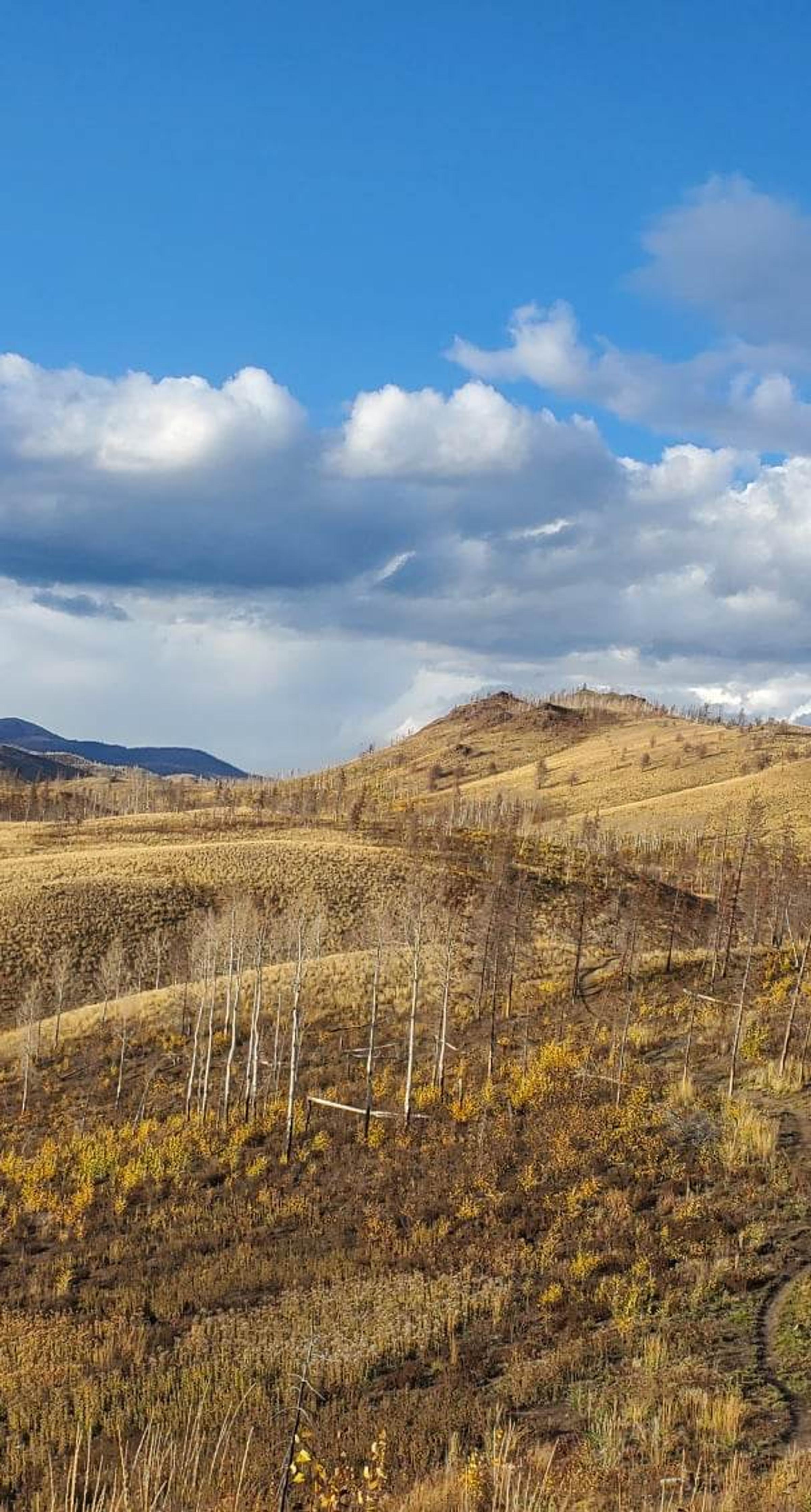 Colorado 2022