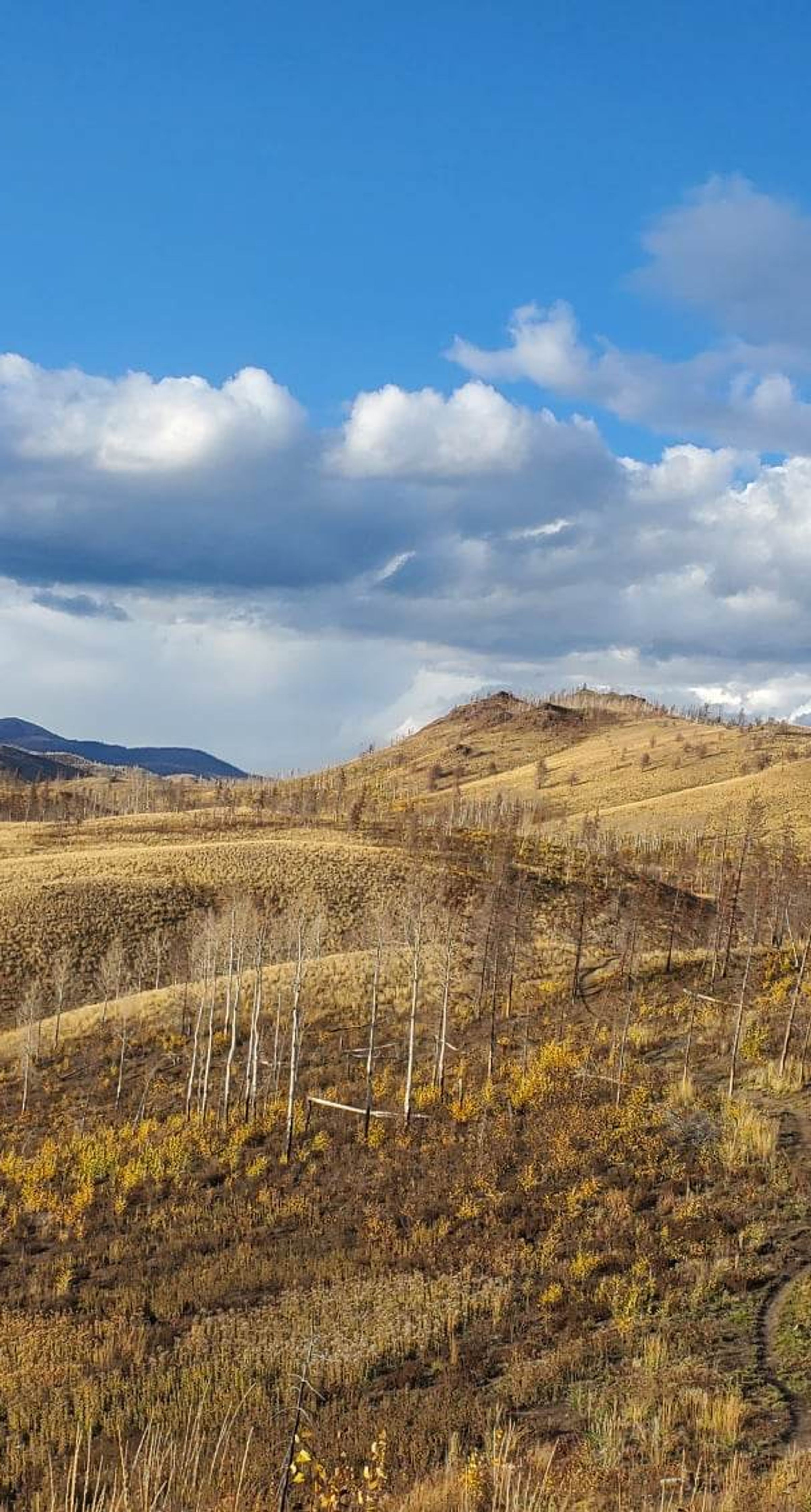 Colorado 2022