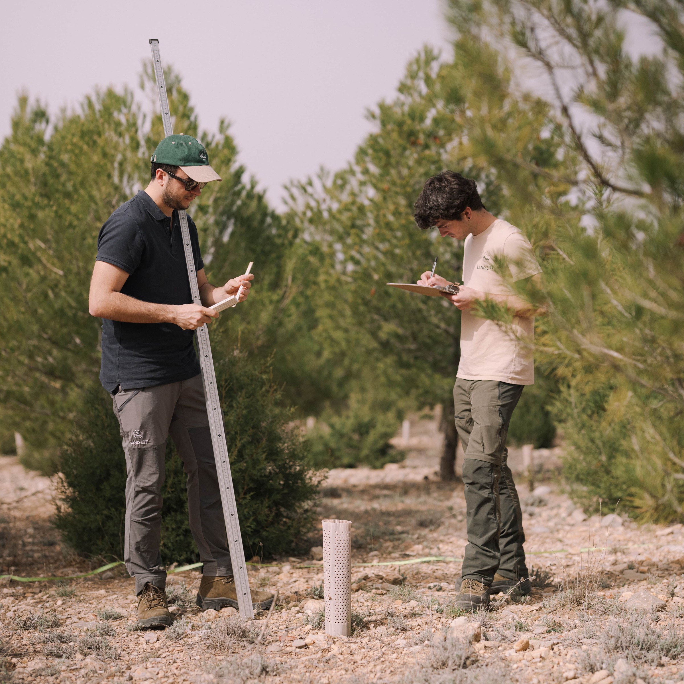 Two men in forest doing field work