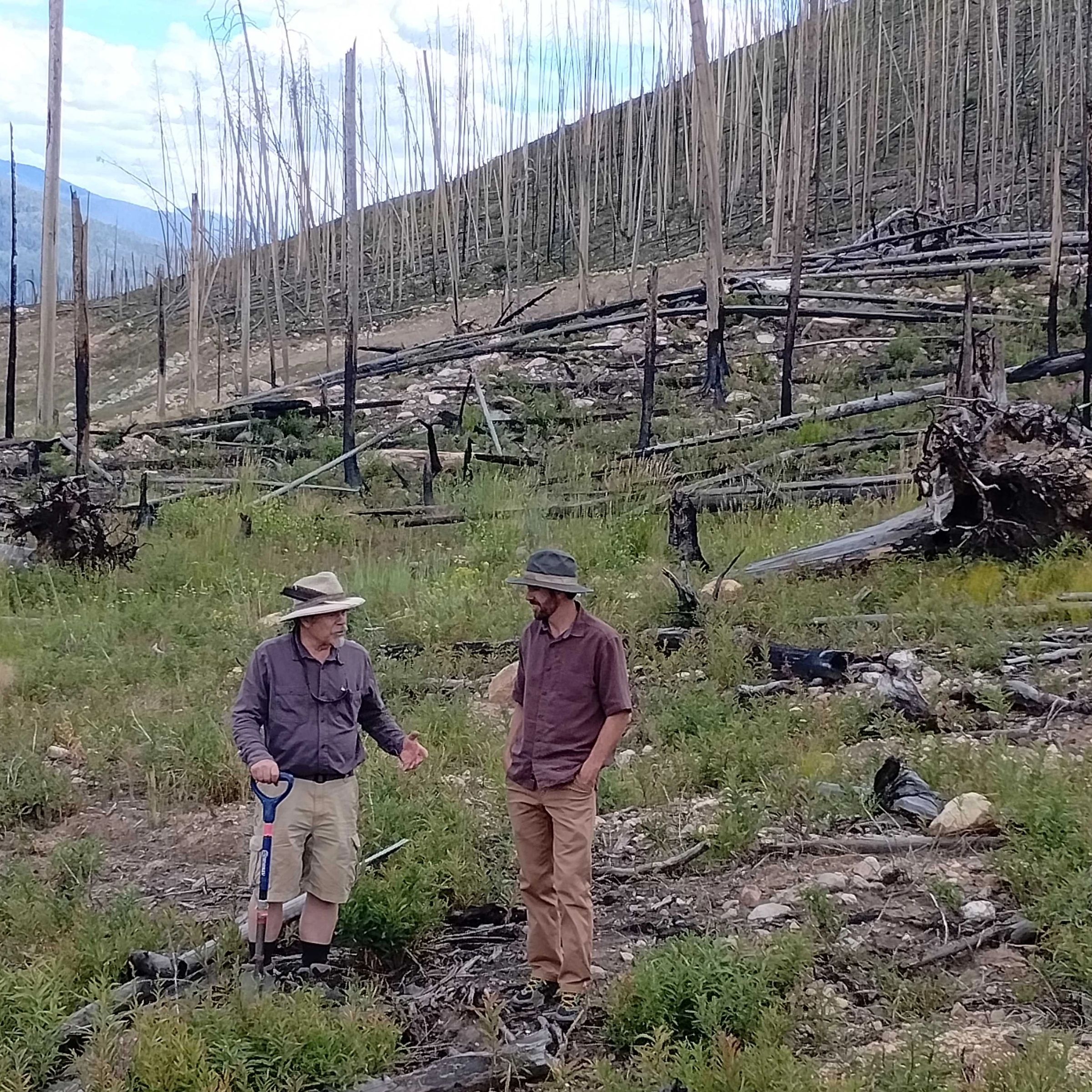 Two men talking on degraded reforestation site