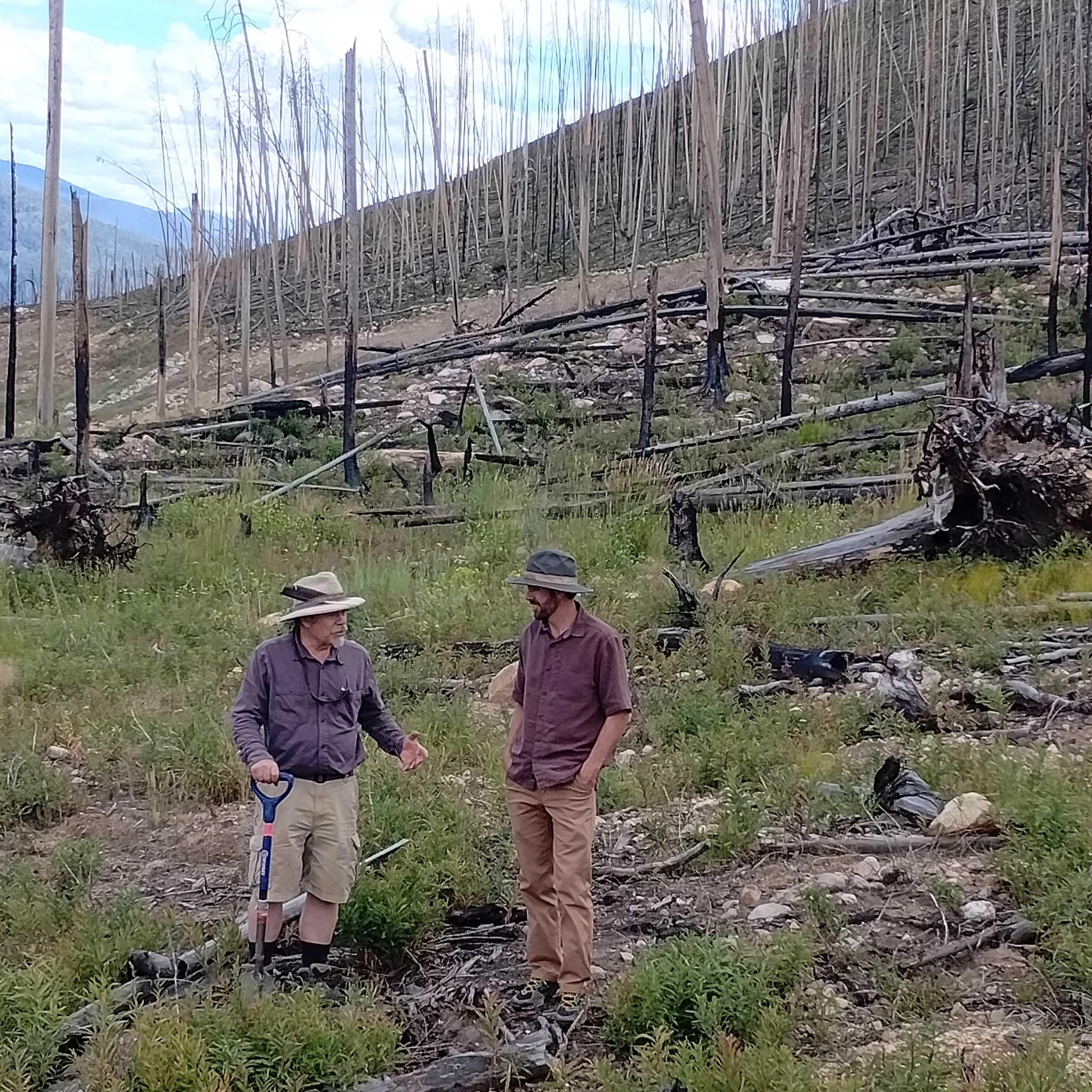 Two men talking on degraded reforestation site
