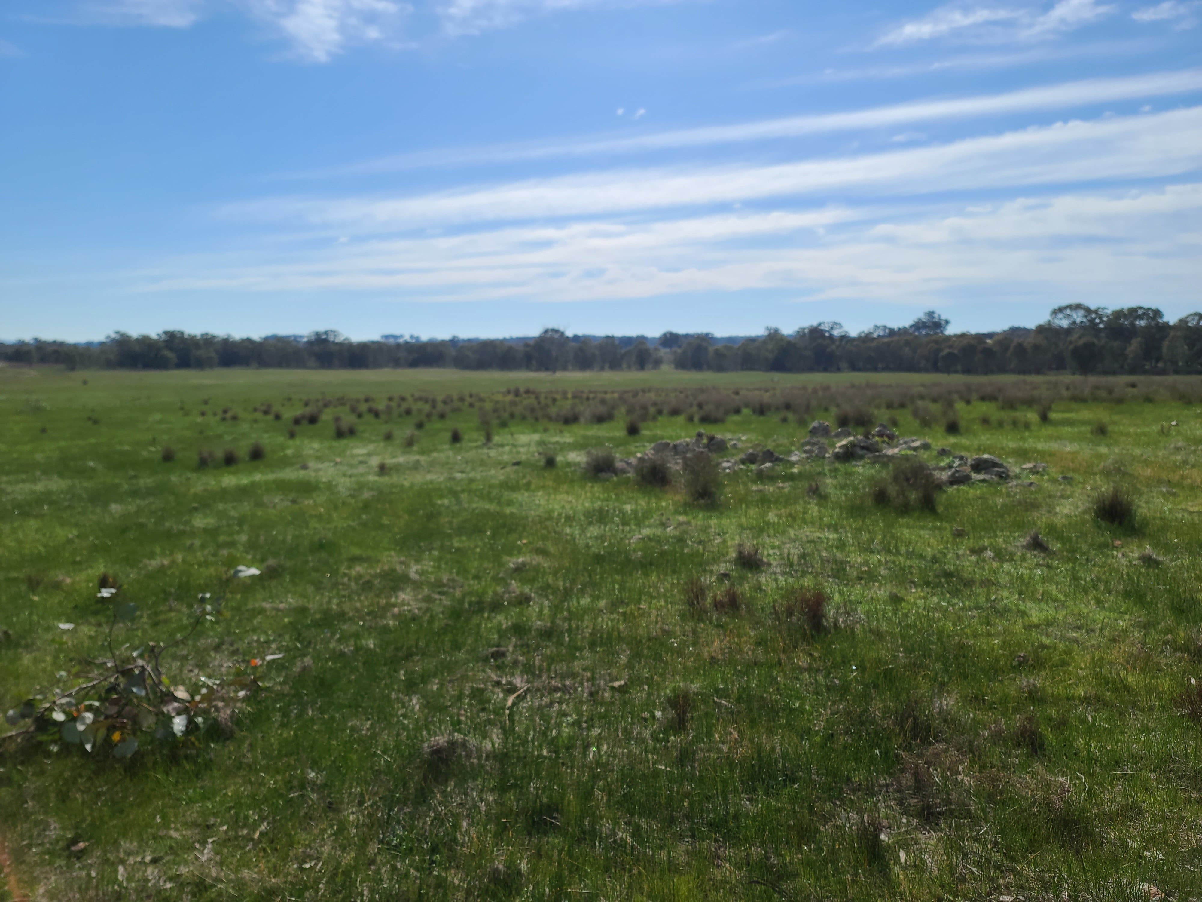 Degraded land at Earlston