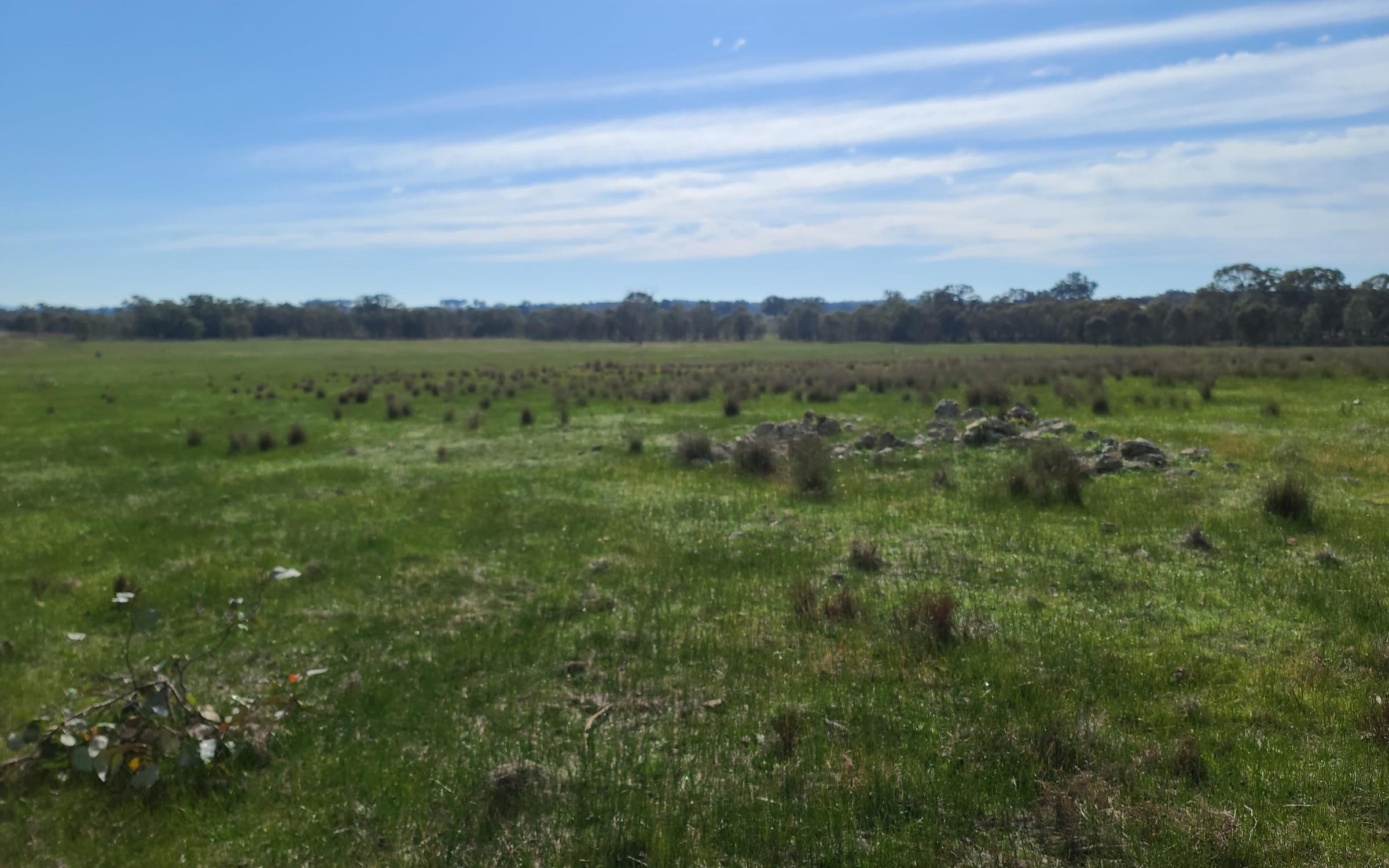 Degraded land at Earlston