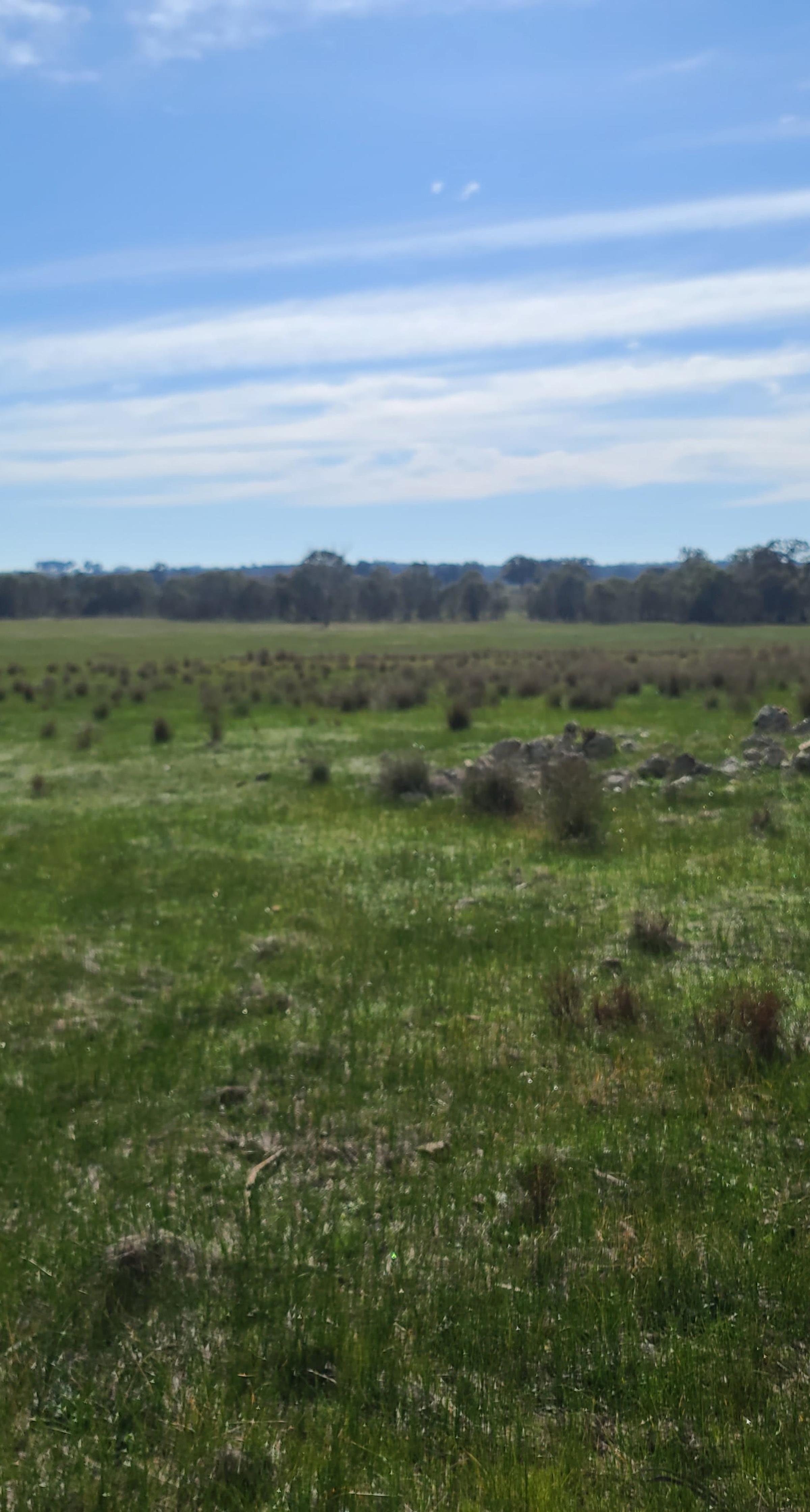 Degraded land at Earlston