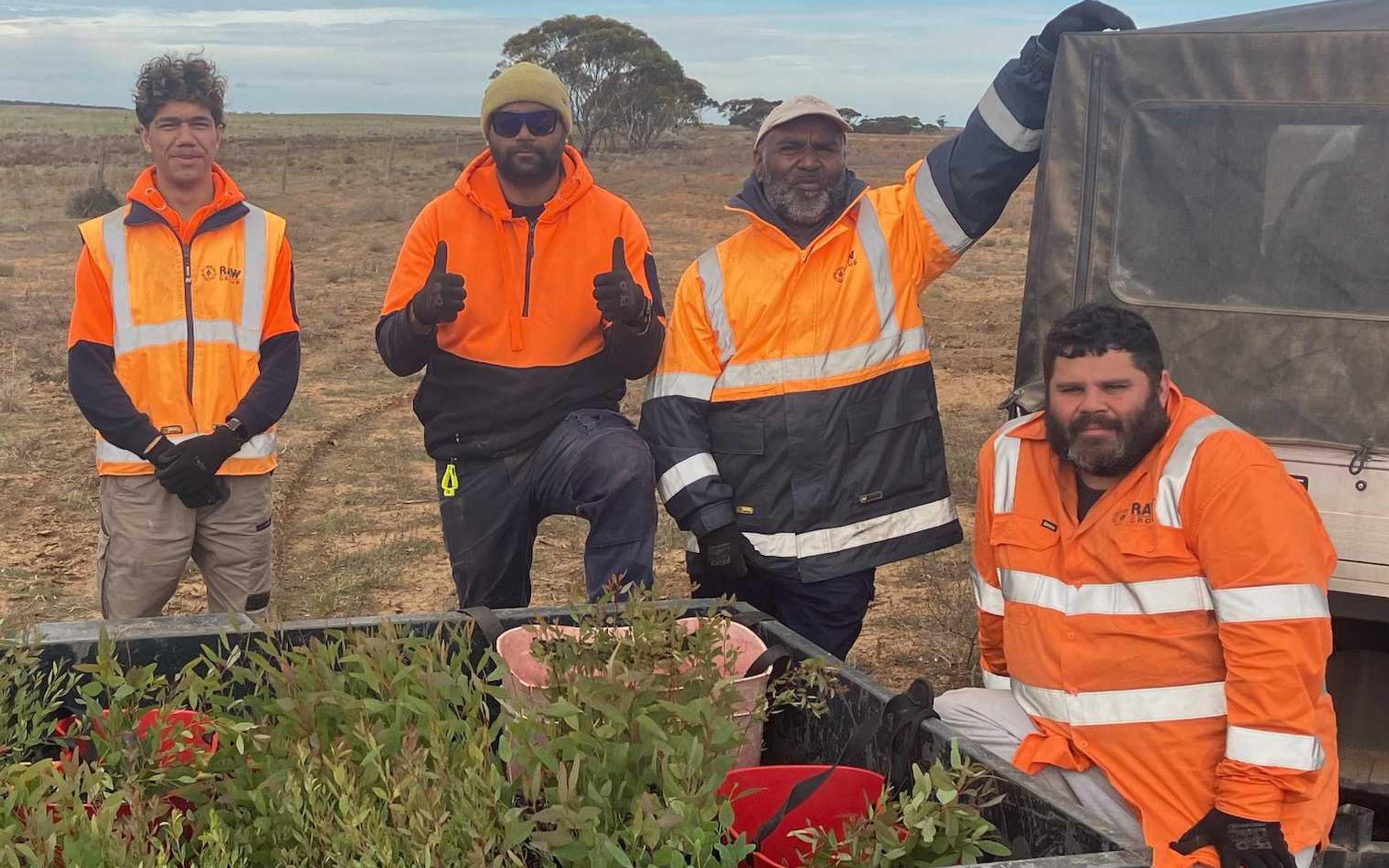Barngarla planting crews on Hillridge