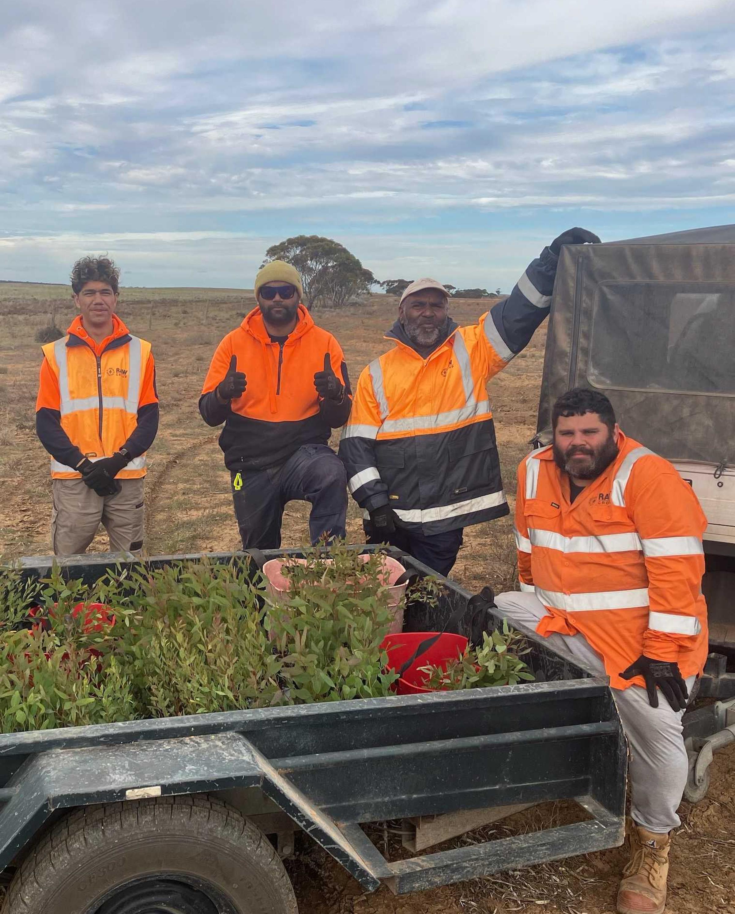 Barngala mob with trailer of saplings