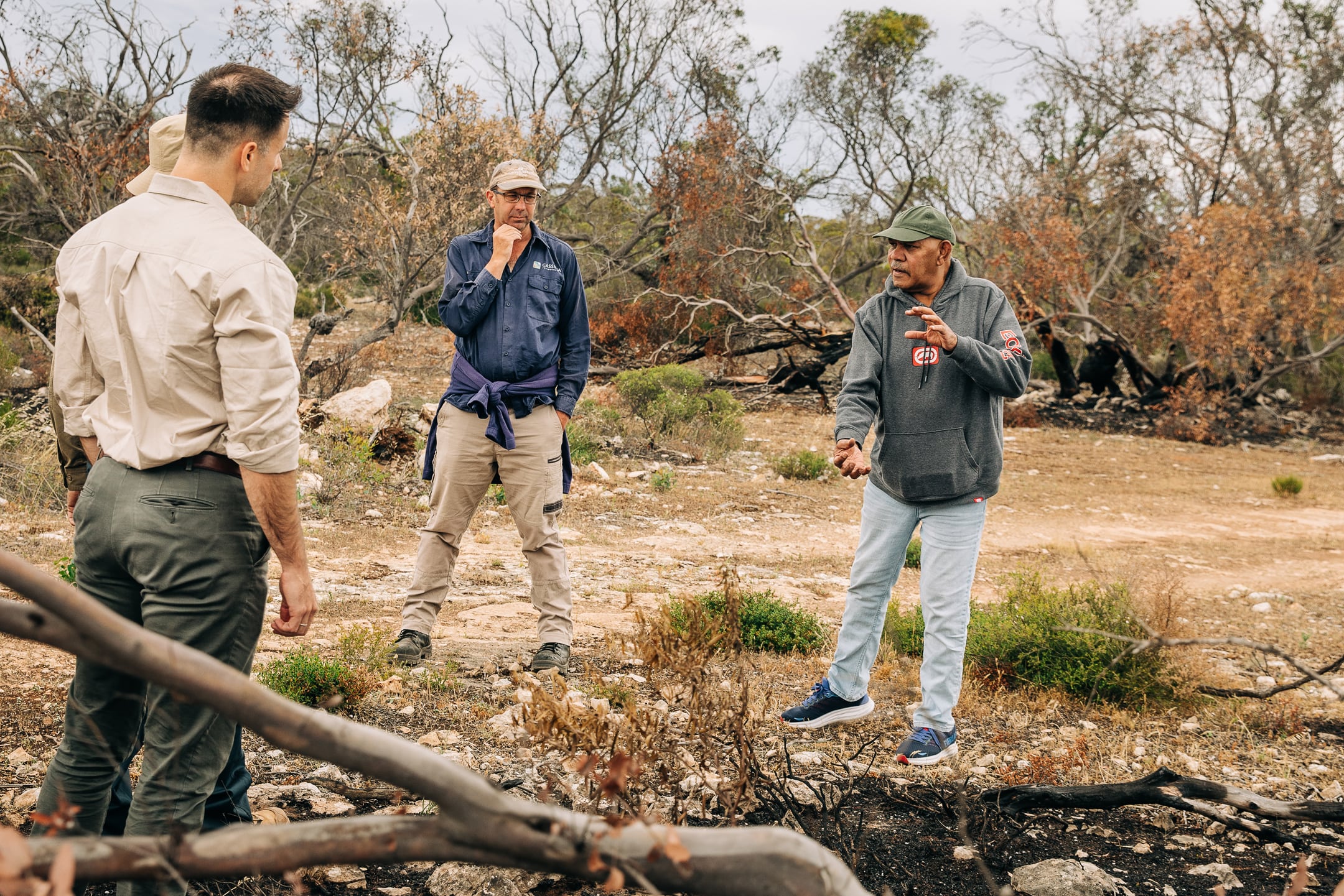 Using Traditional knowledge in restoring Talia