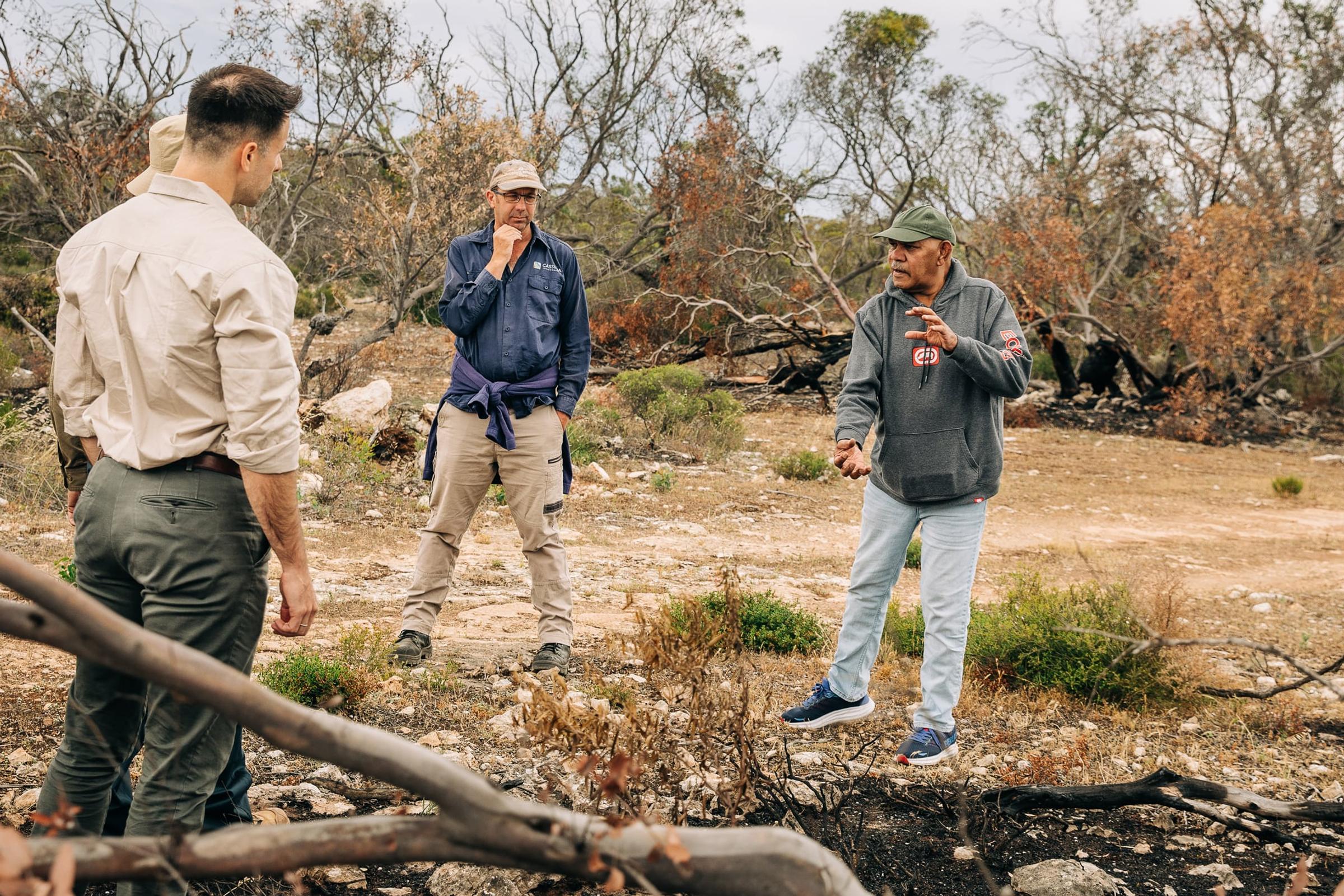 Using Traditional knowledge in restoring Talia