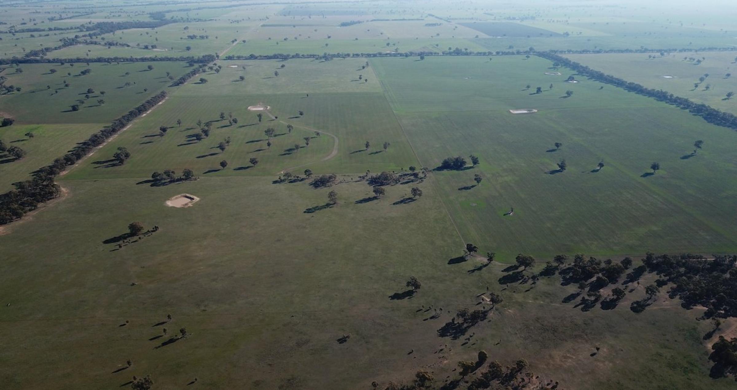 Degraded Land in Australia: Understanding the Impact and Solutions