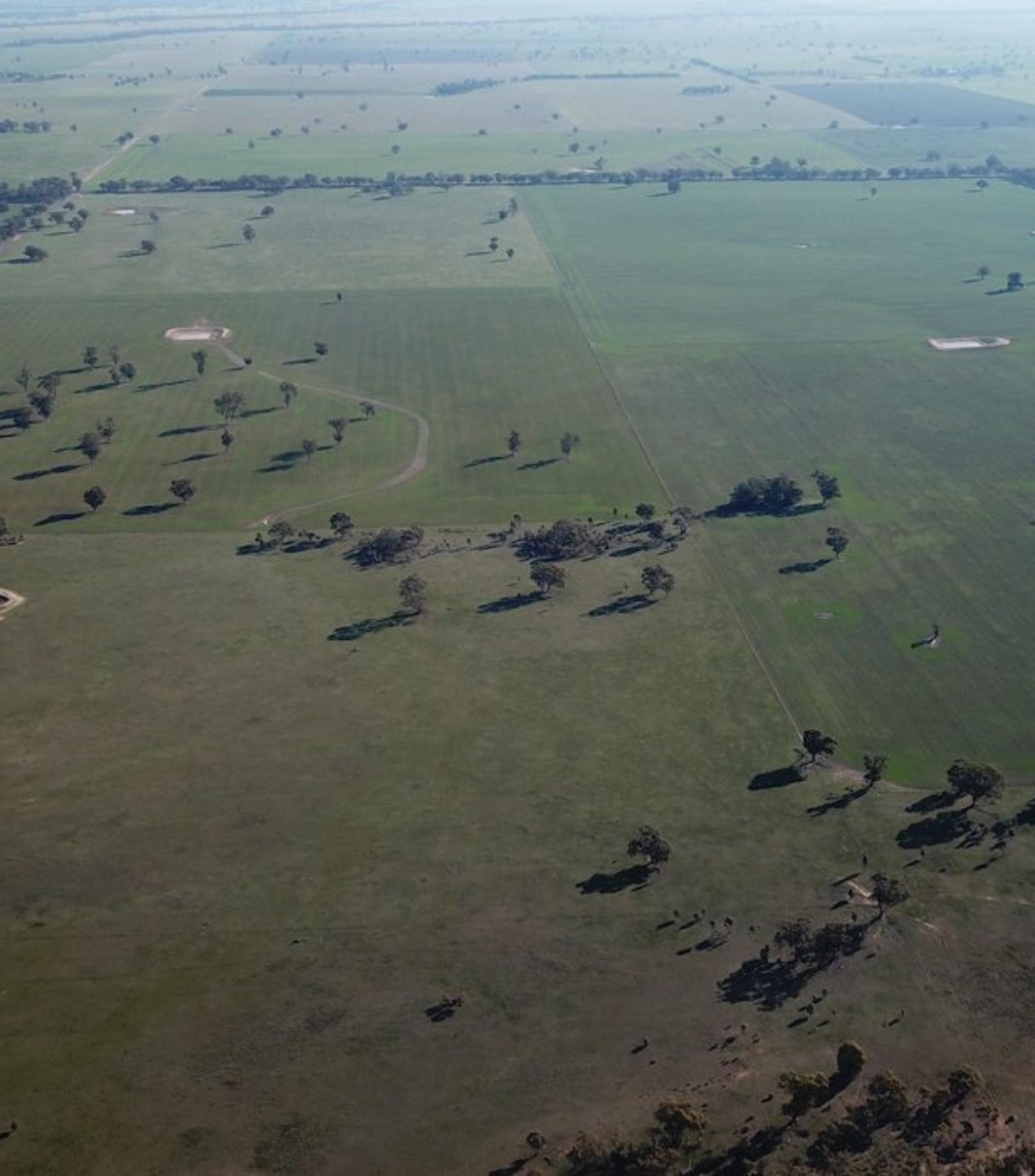 Degraded Land in Australia: Understanding the Impact and Solutions