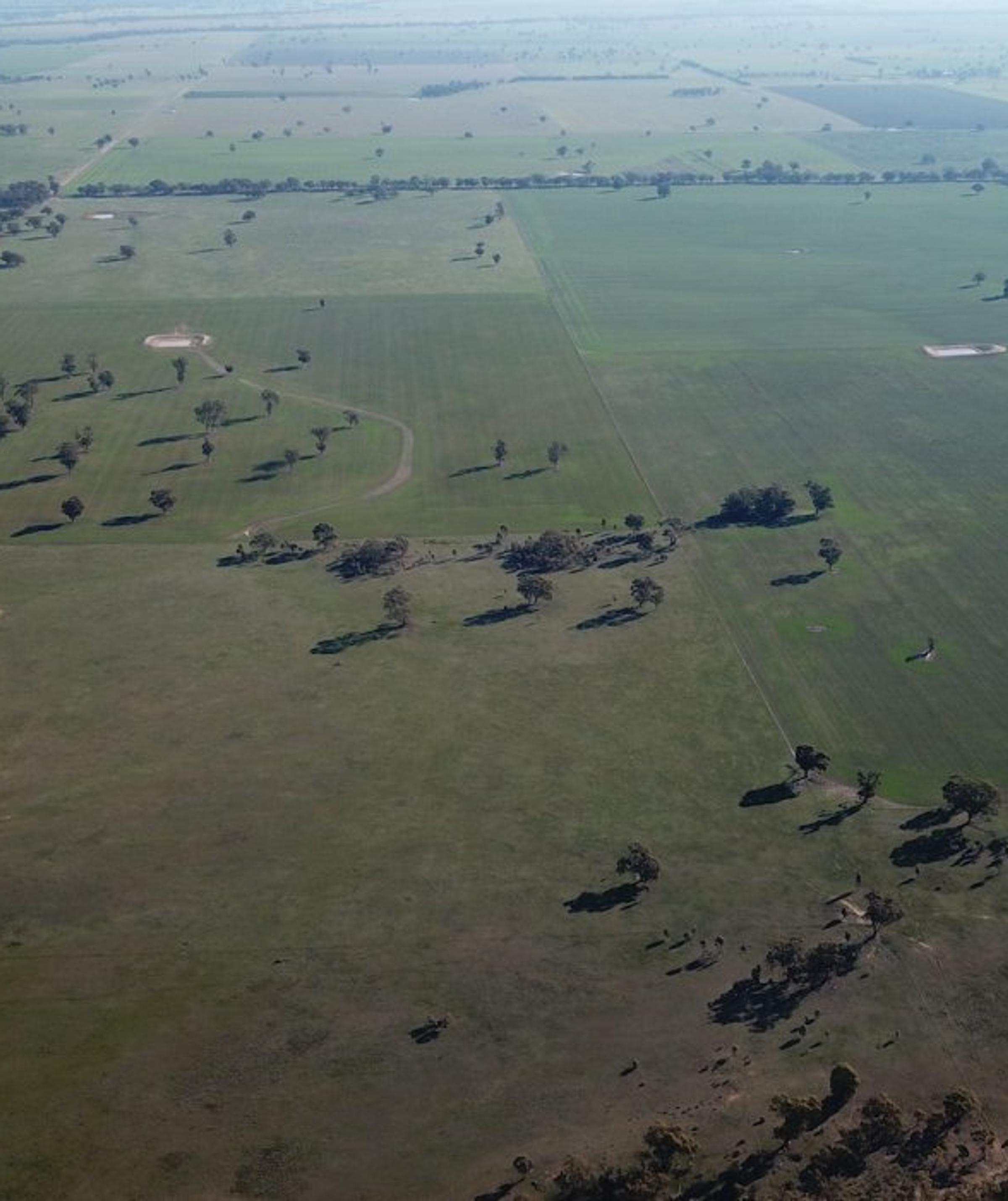 Degraded Land in Australia: Understanding the Impact and Solutions