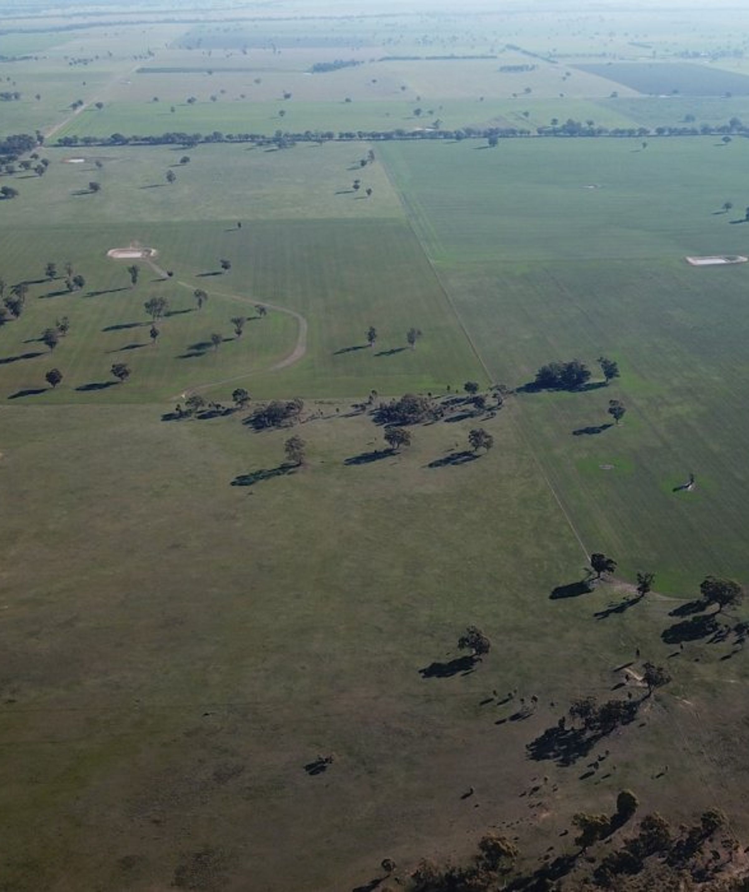 Degraded Land in Australia: Understanding the Impact and Solutions