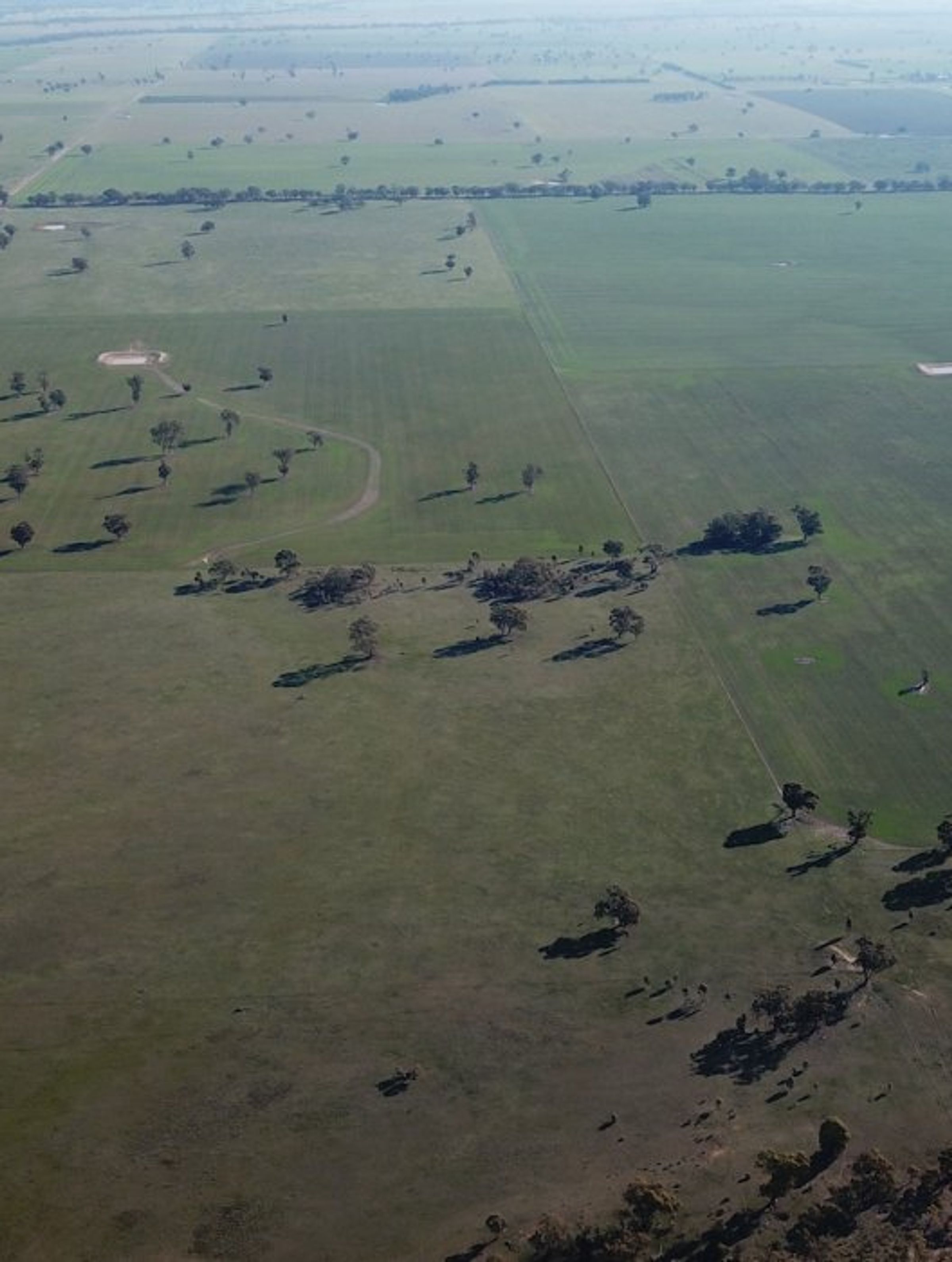 Degraded Land in Australia: Understanding the Impact and Solutions