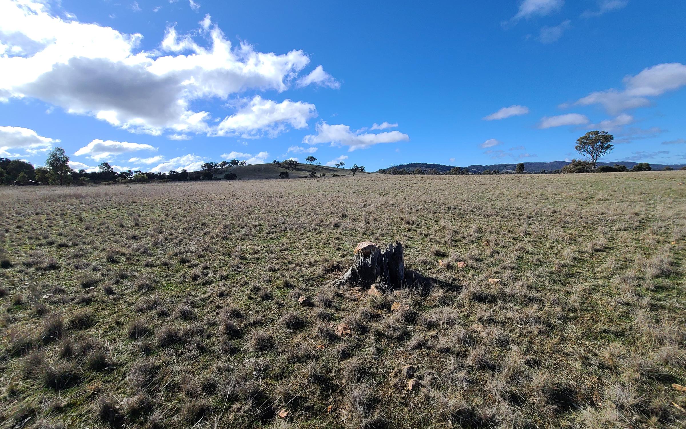 Degraded land in Victoria