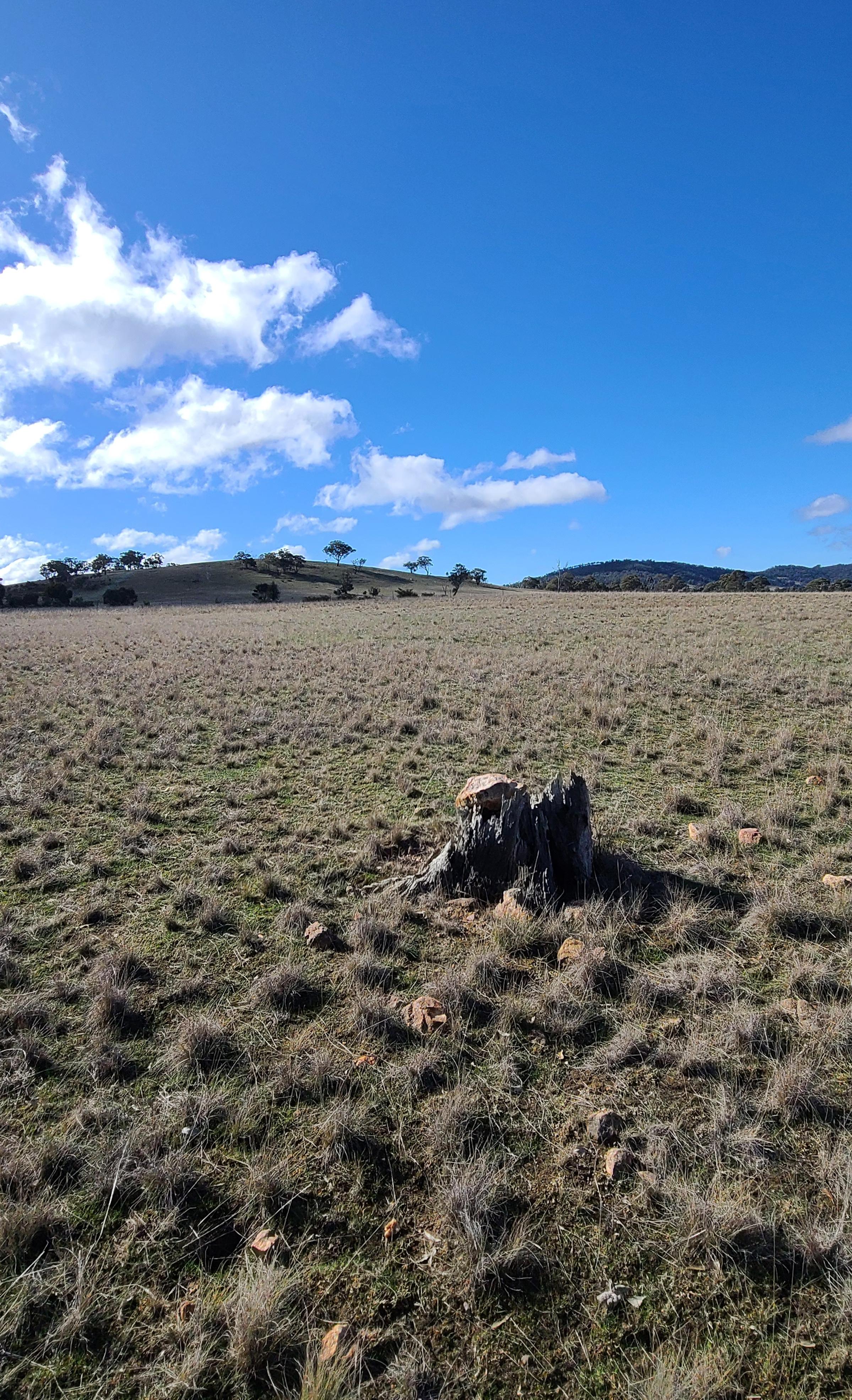 Degraded land in Victoria