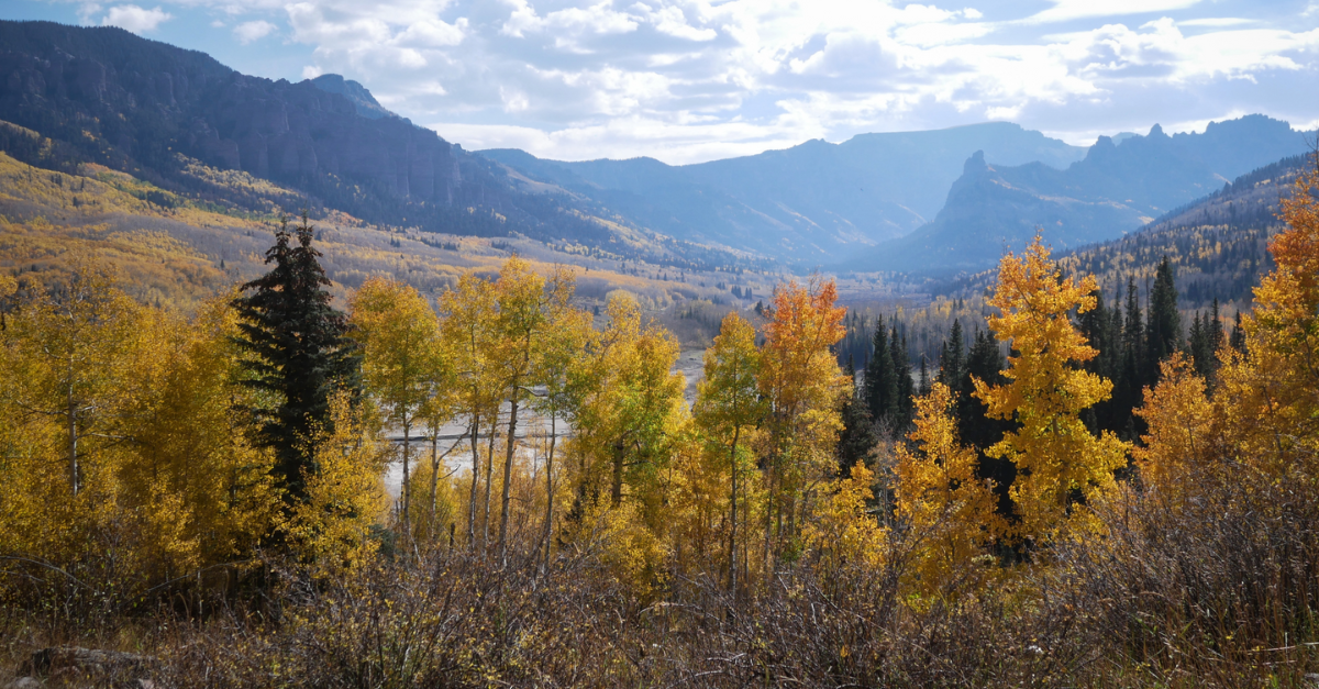 Protecting Watersheds in Colorado with High-Integrity Carbon Removal Projects