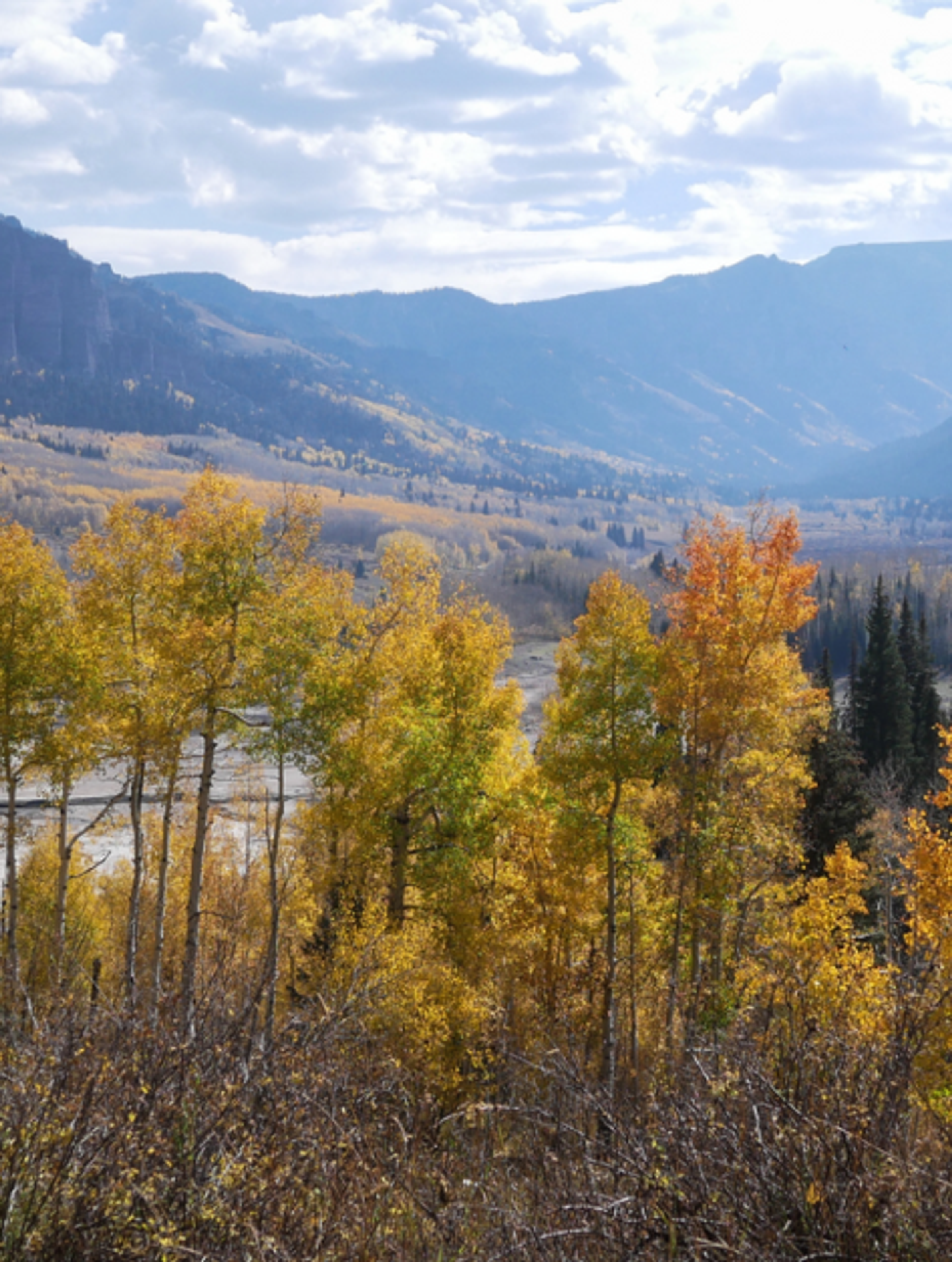 Protecting Watersheds in Colorado with High-Integrity Carbon Removal Projects