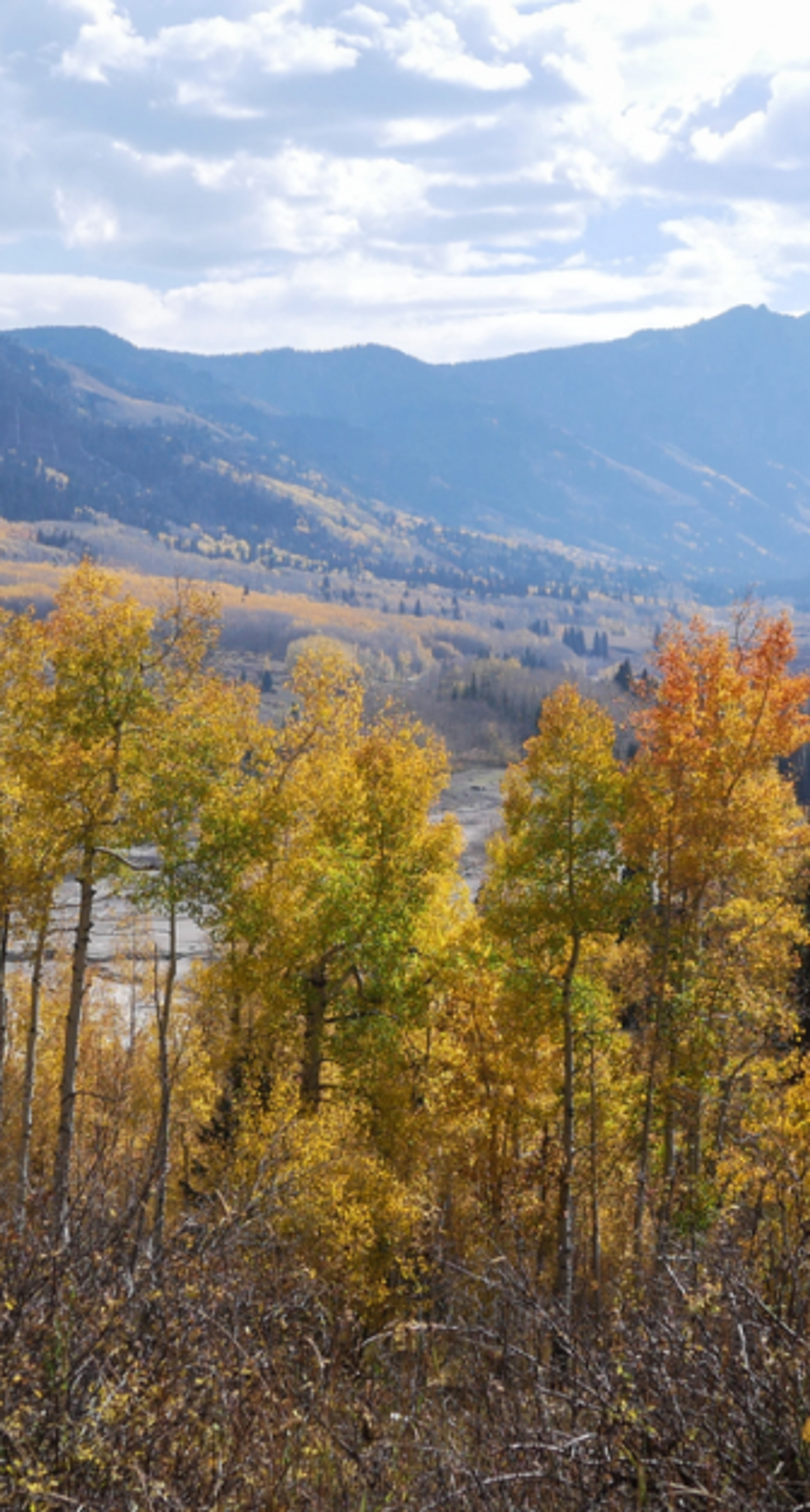 Colorado watershed in autumn
